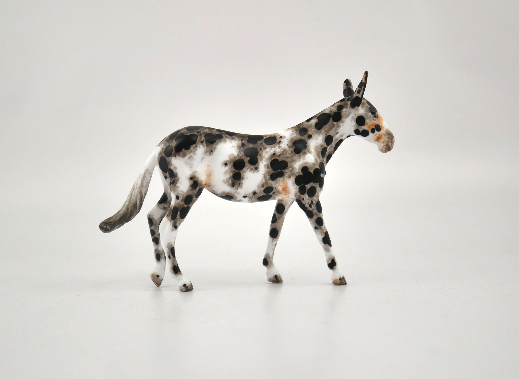 Labara-OOAK Mule Appaloosa Chip By Andrea MM 2020