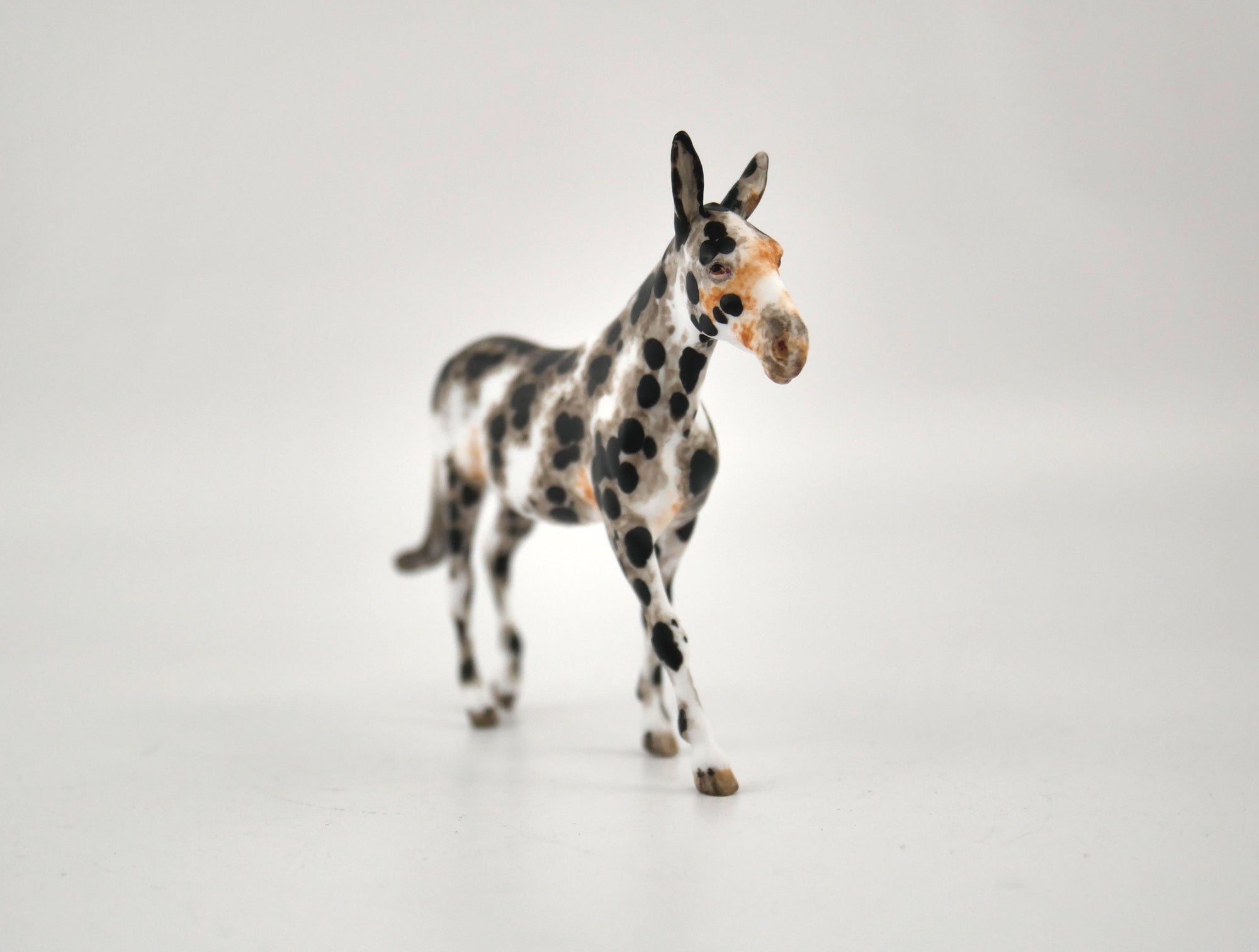 Labara-OOAK Mule Appaloosa Chip By Andrea MM 2020