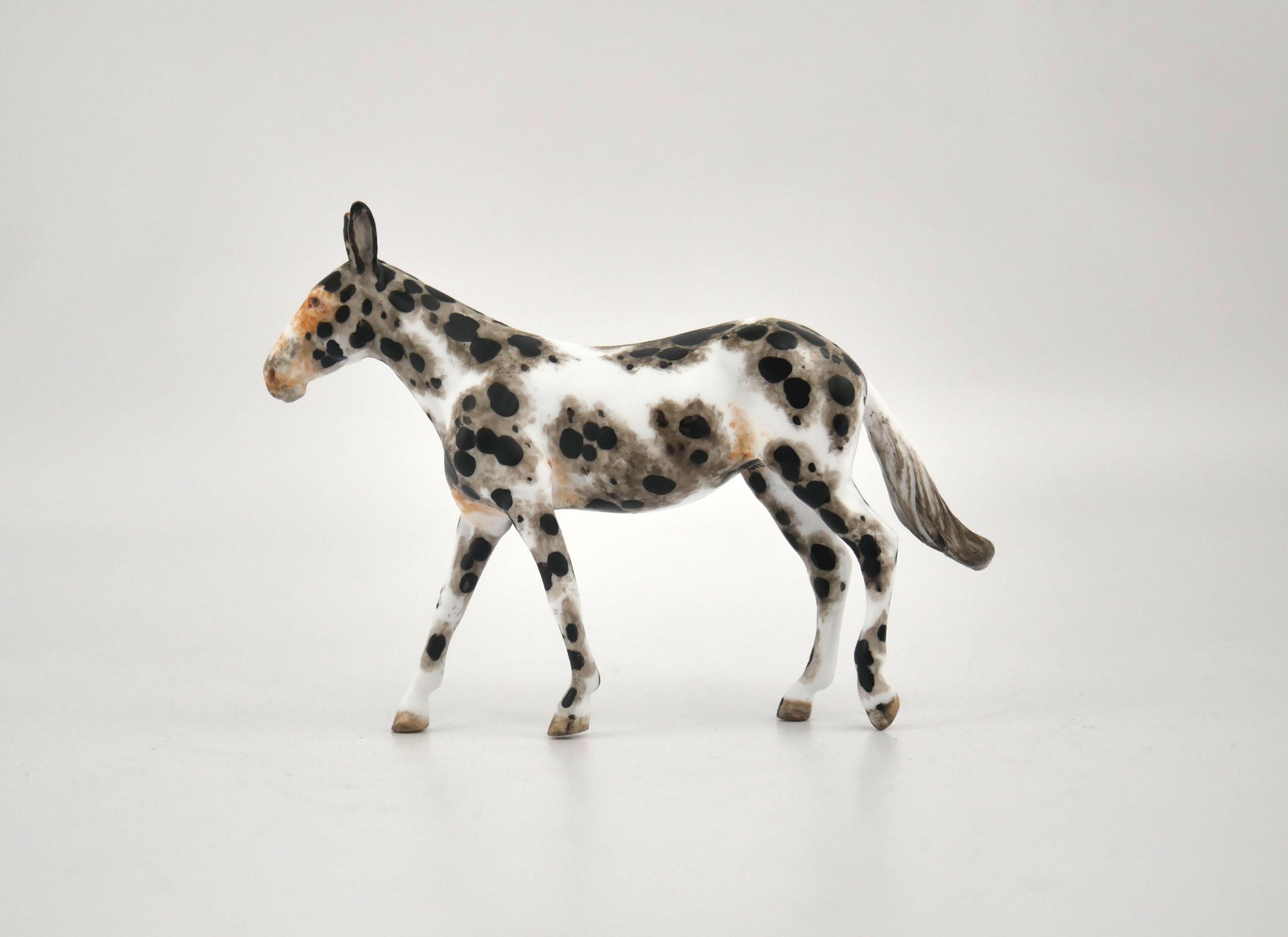 Labara-OOAK Mule Appaloosa Chip By Andrea MM 2020