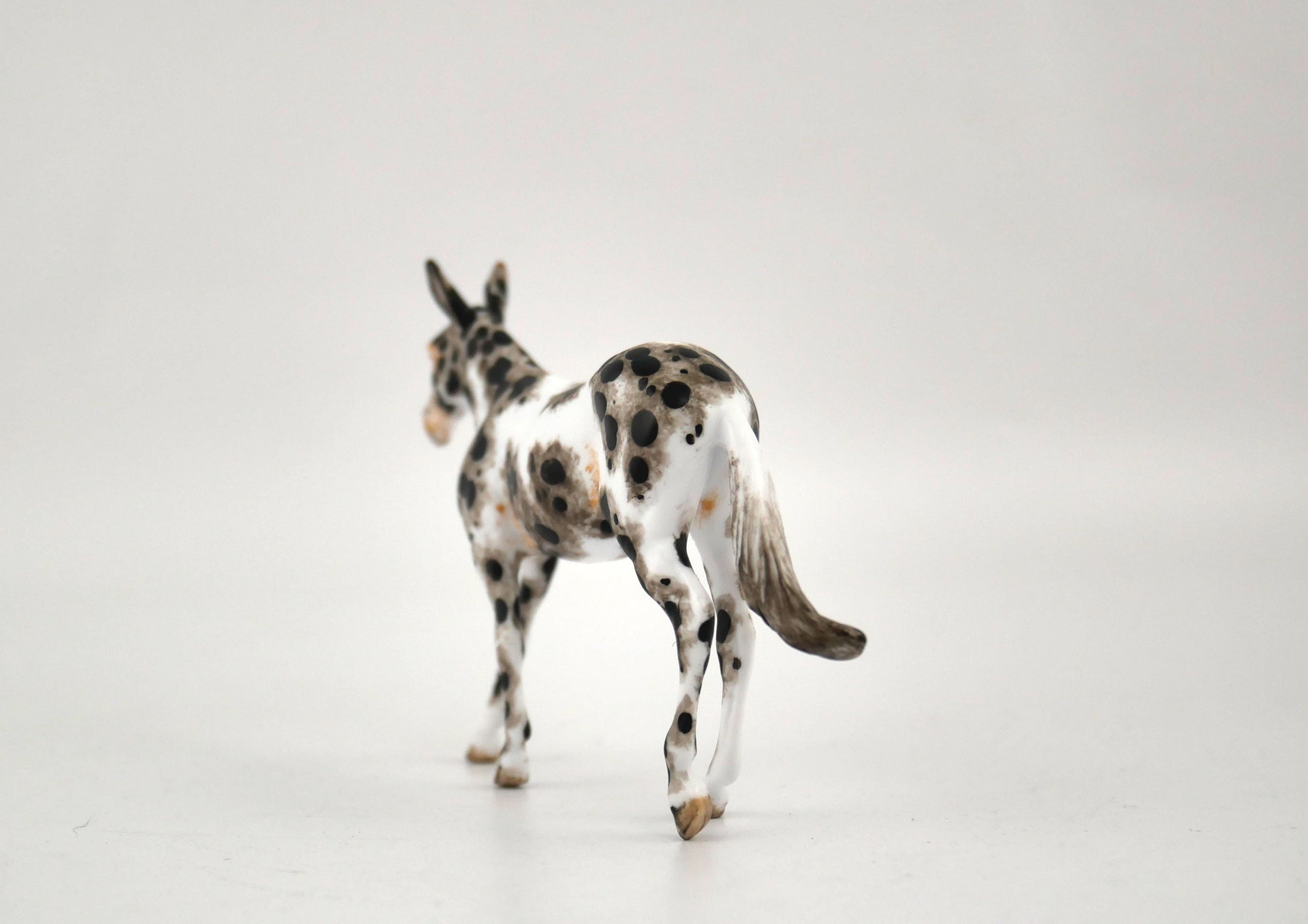 Labara-OOAK Mule Appaloosa Chip By Andrea MM 2020