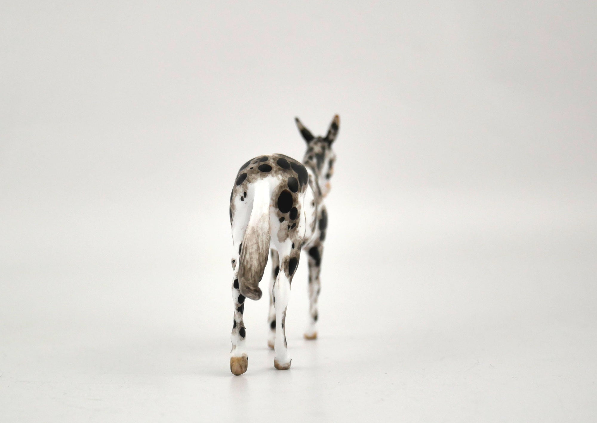 Labara-OOAK Mule Appaloosa Chip By Andrea MM 2020