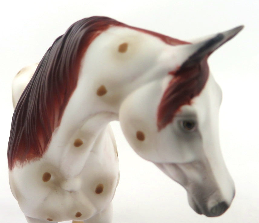 LACEY-OOAK CHESTNUT APPY ARABIAN PEBBLES BY AL KATT WHS19