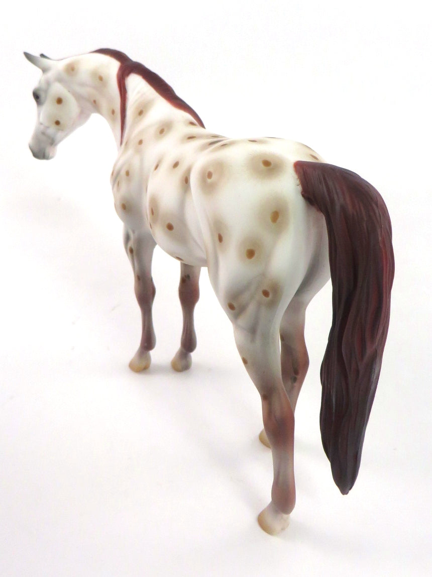 LACEY-OOAK CHESTNUT APPY ARABIAN PEBBLES BY AL KATT WHS19