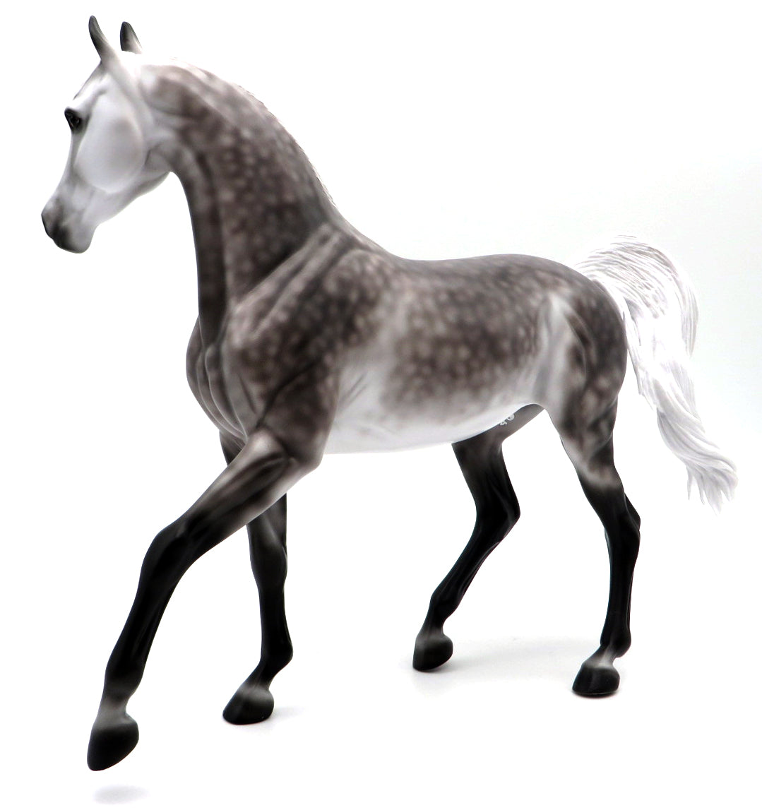 Lady in the Mirror - OOAK Dapple Gray Arabian by Ellen Robbins - MM 2021