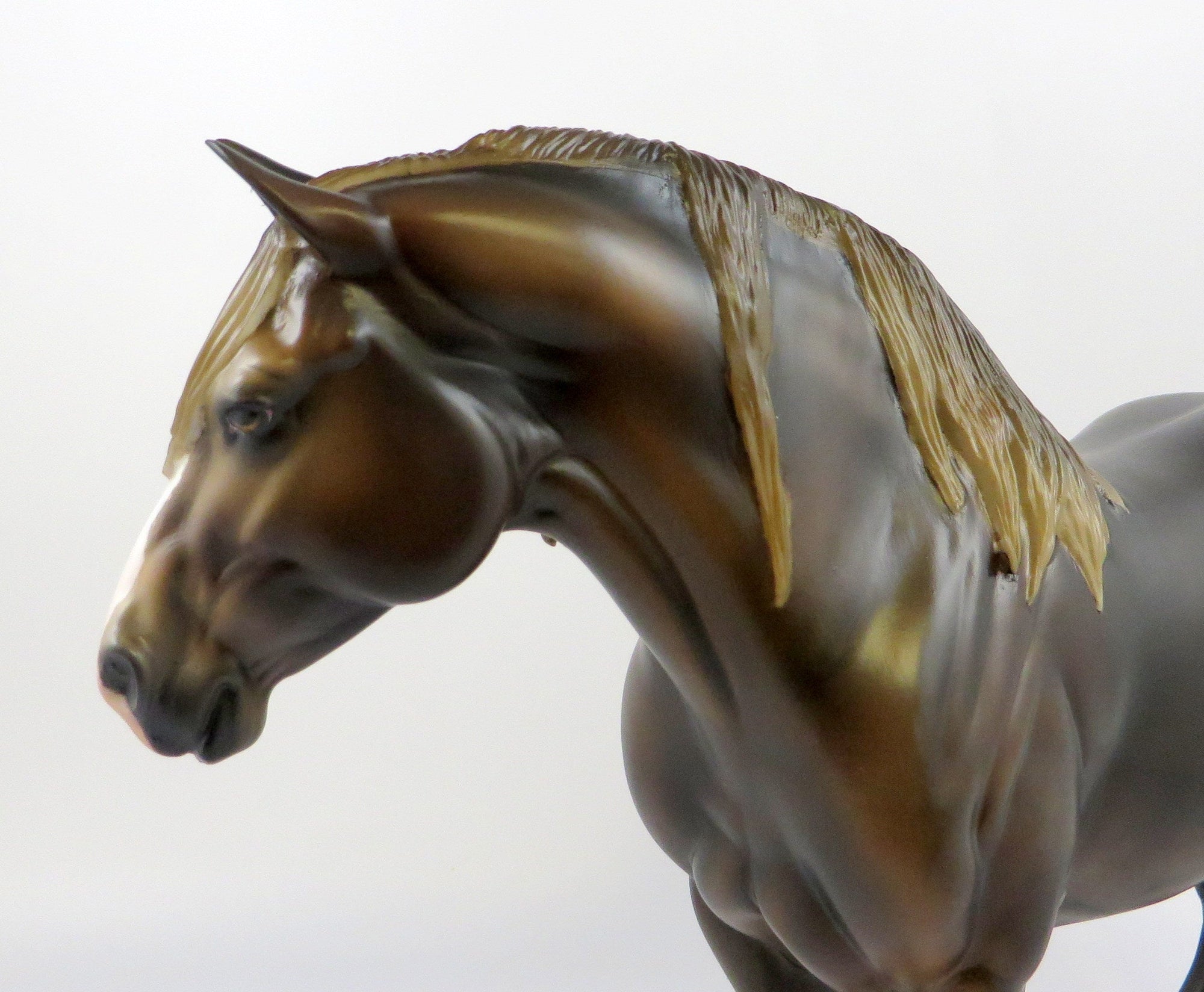 LADY OF THE LAKE CM LIVER CHESTNUT  BUNNY EQ 2019