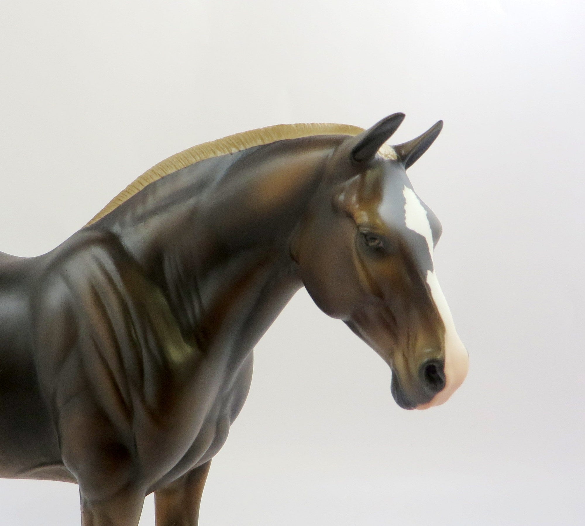 LADY OF THE LAKE NC LIVER CHESTNUT  BUNNY EQ 2019