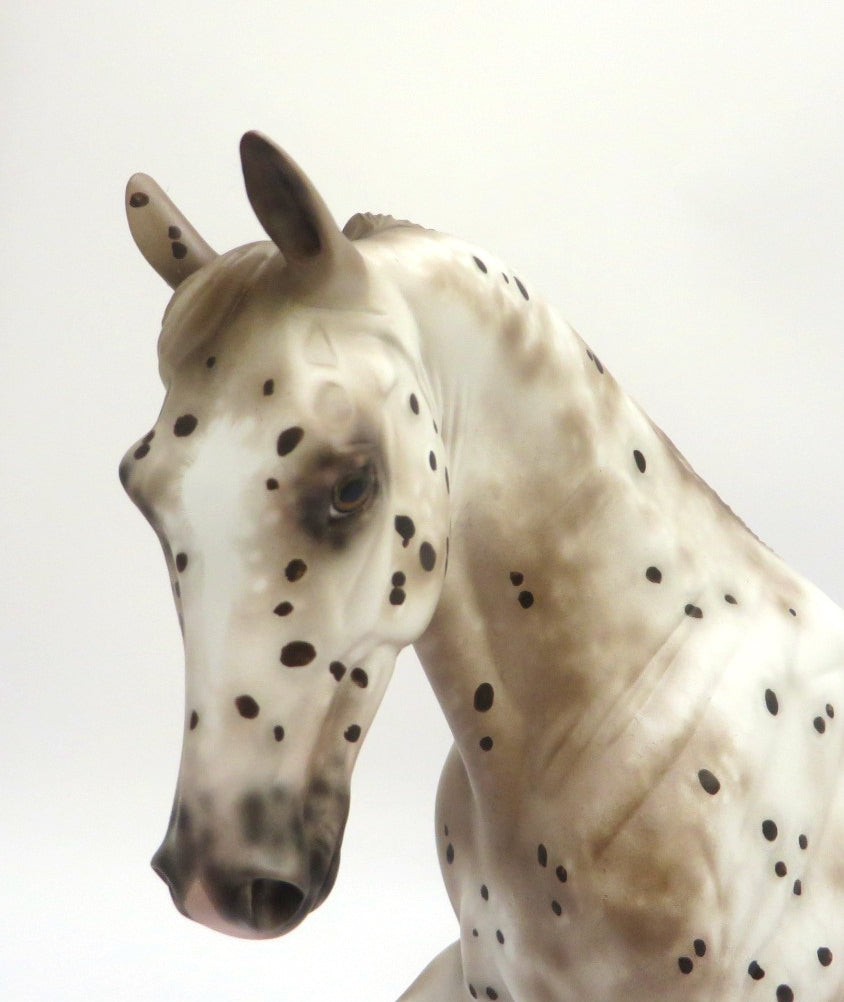 LAISSE TOMBER - OOAK CHESTNUT APPALOOSA TENNESSEE WALKER BY SHERYL LEISURE 3/4/20