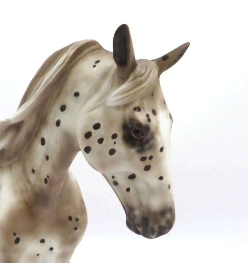 LAISSE TOMBER - OOAK CHESTNUT APPALOOSA TENNESSEE WALKER BY SHERYL LEISURE 3/4/20