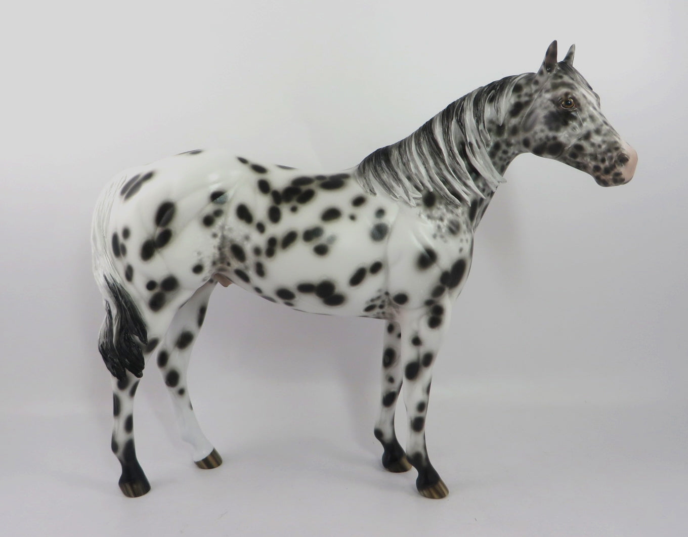 LAVISH-OOAK LOUD APPALOOSA ISH MODEL HORSE BY SHERYL LEISURE 1/3/20