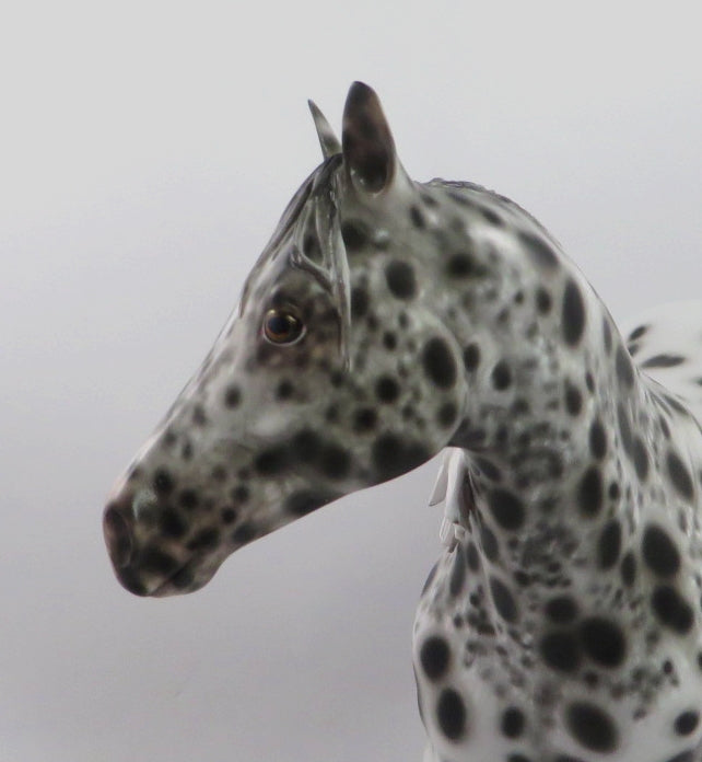 LAVISH-OOAK LOUD APPALOOSA ISH MODEL HORSE BY SHERYL LEISURE 1/3/20