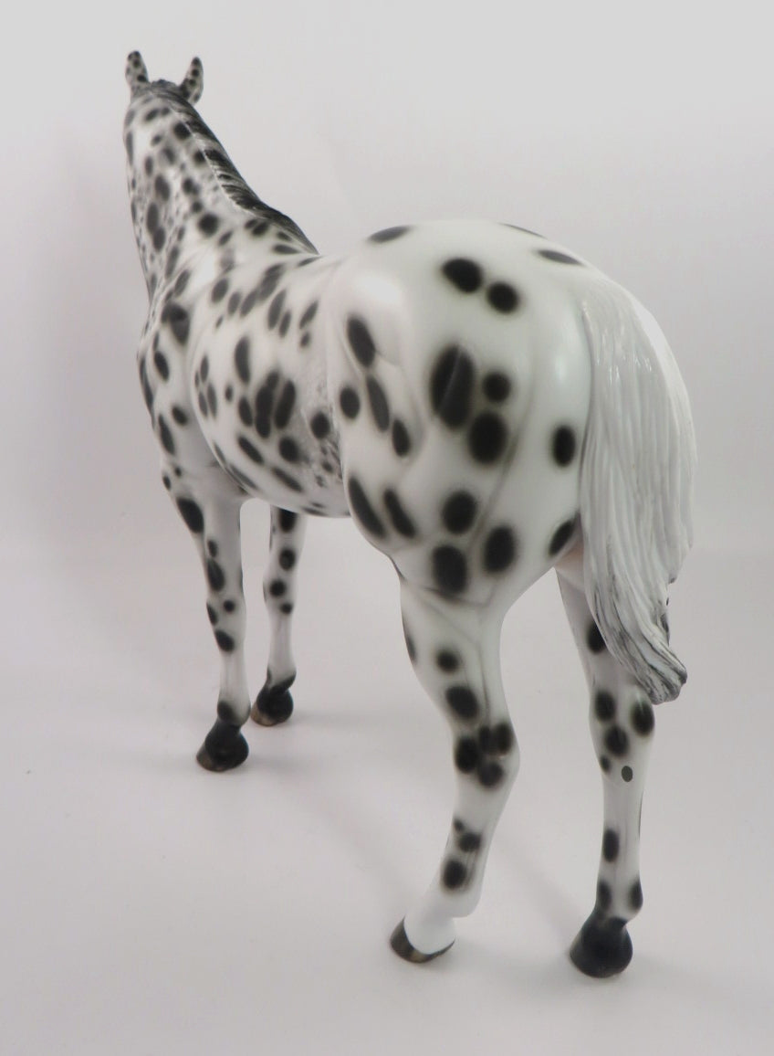 LAVISH-OOAK LOUD APPALOOSA ISH MODEL HORSE BY SHERYL LEISURE 1/3/20