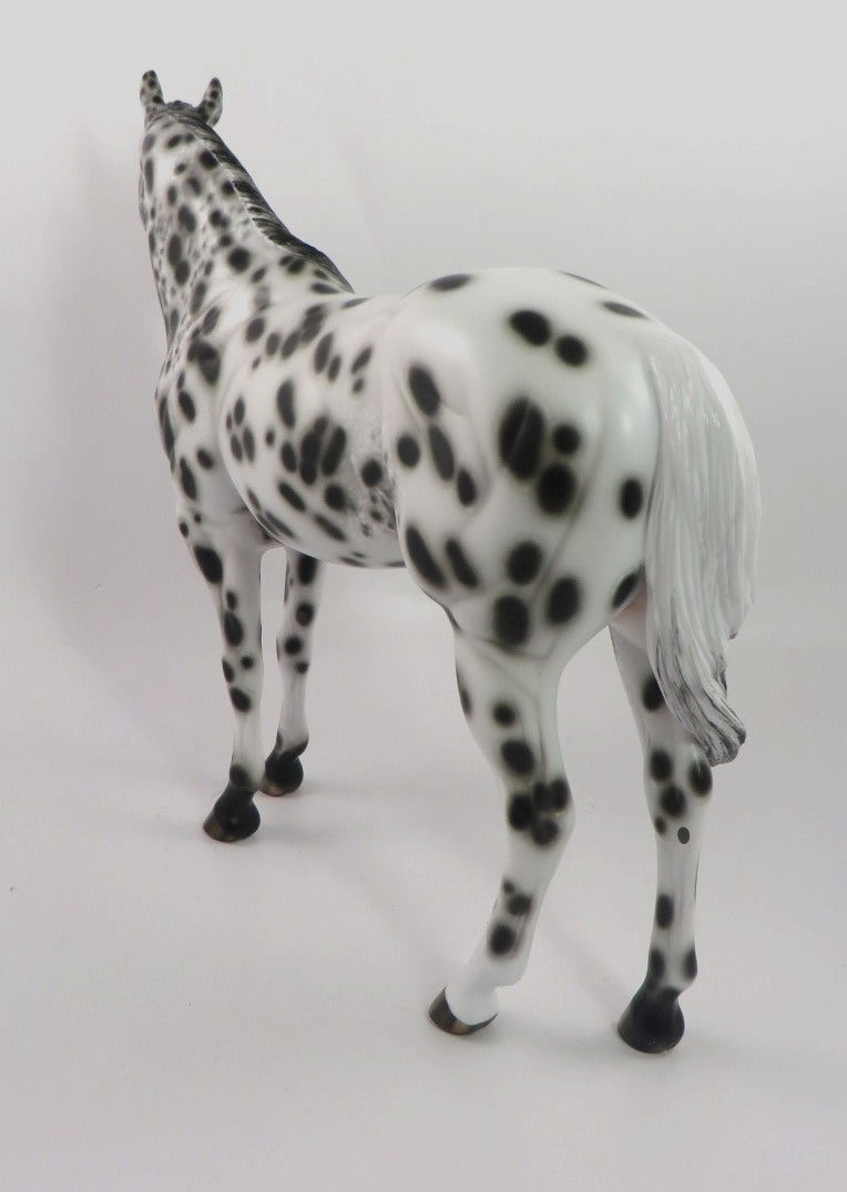 LAVISH-OOAK LOUD APPALOOSA ISH MODEL HORSE BY SHERYL LEISURE 1/3/20