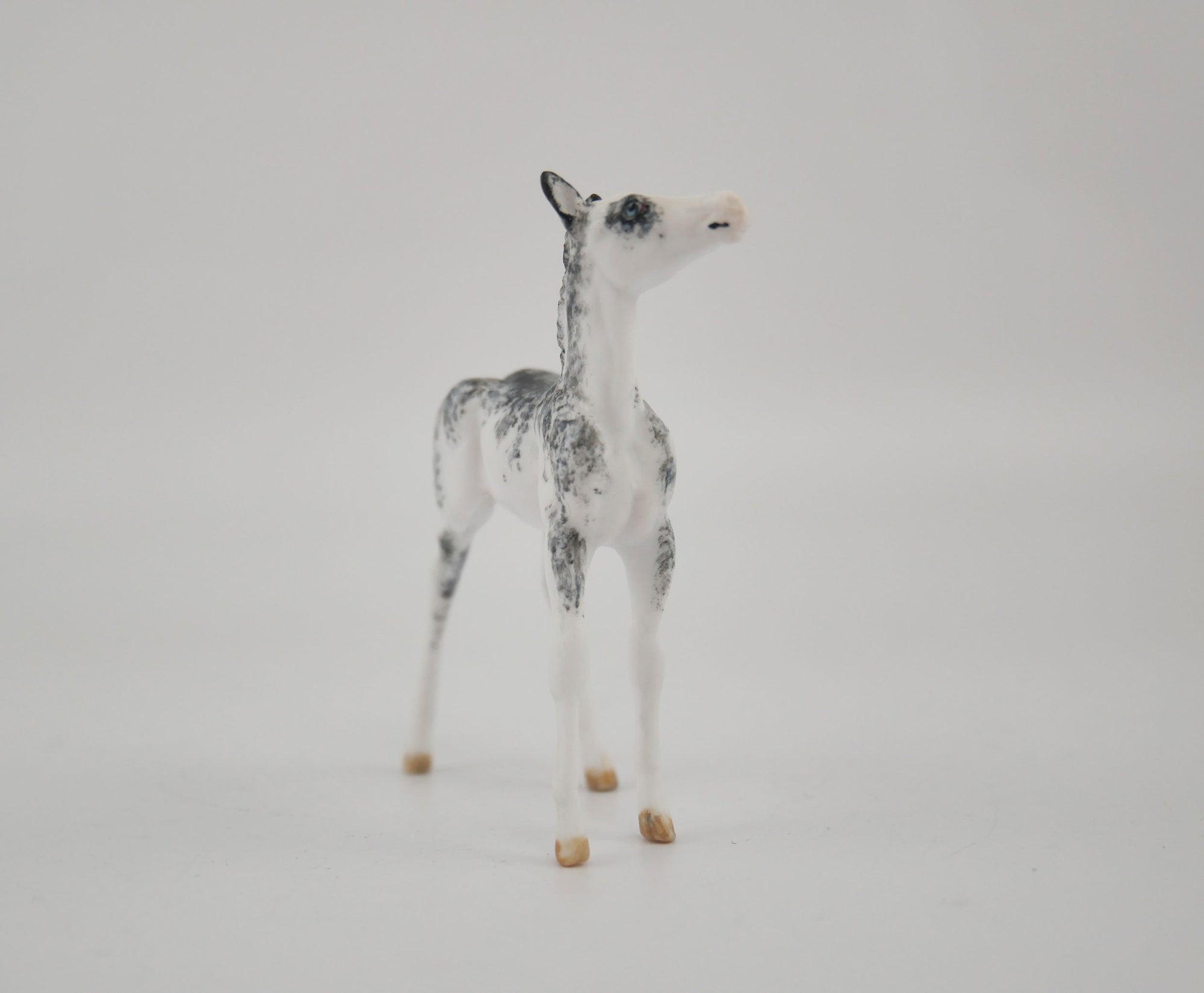 Layn-OOAK Foal Sabino Chip By Andrea MM 2020