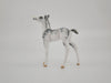Layn-OOAK Foal Sabino Chip By Andrea MM 2020
