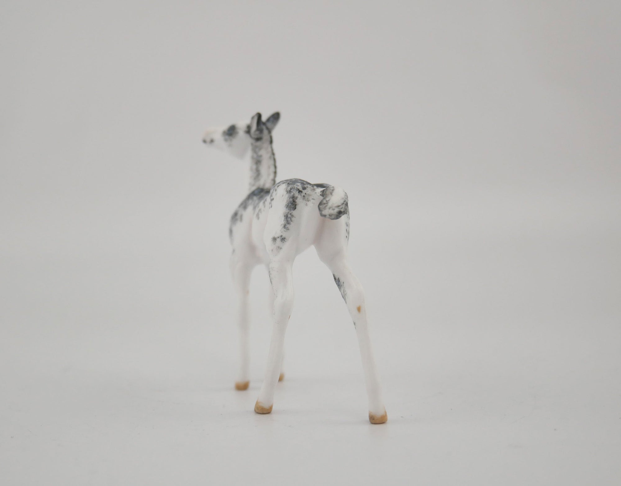 Layn-OOAK Foal Sabino Chip By Andrea MM 2020