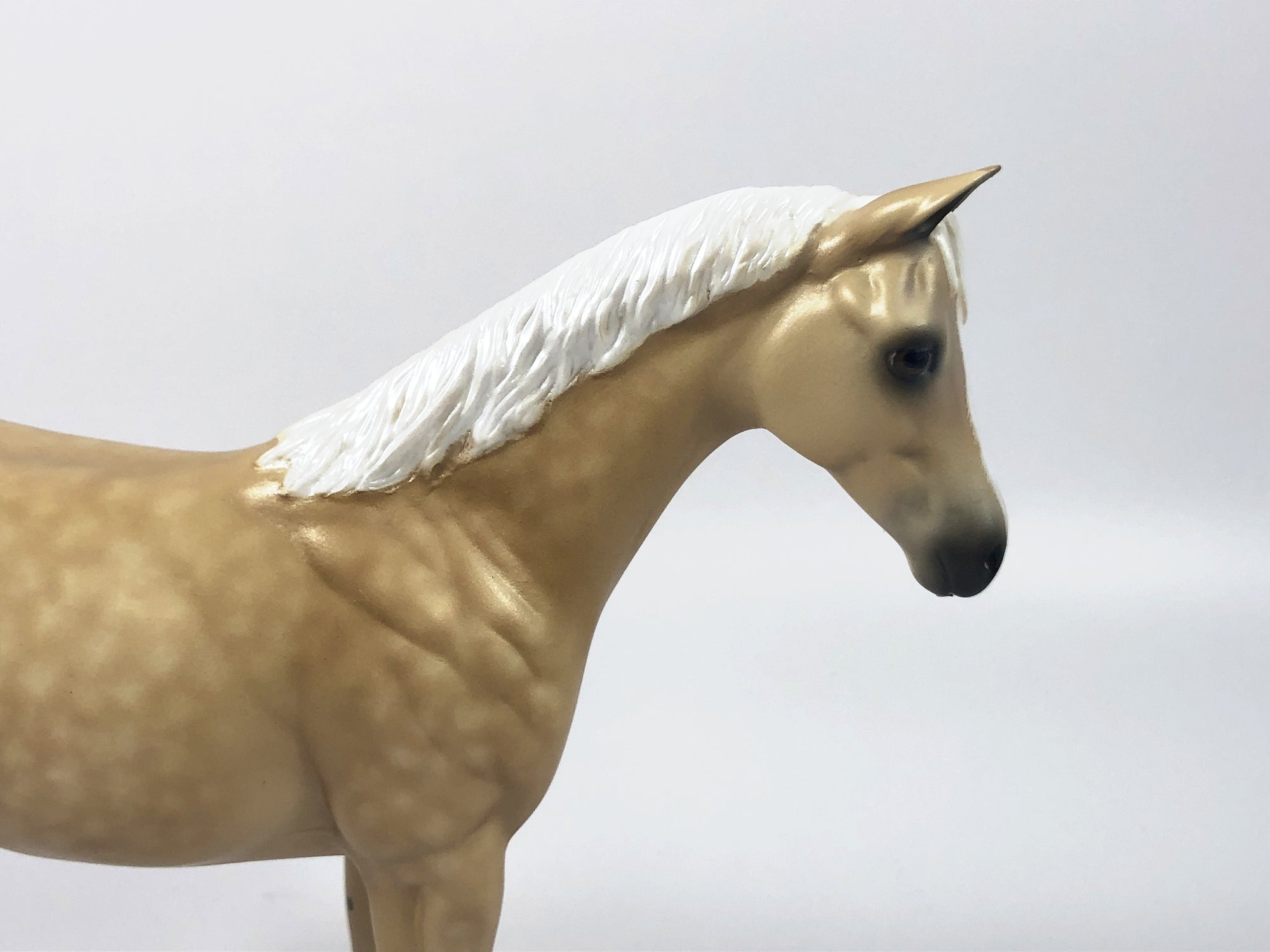 LEMON POPSICLE-OOAK PALOMINO WEANLING BY SHERYL LEISURE 4/25/19