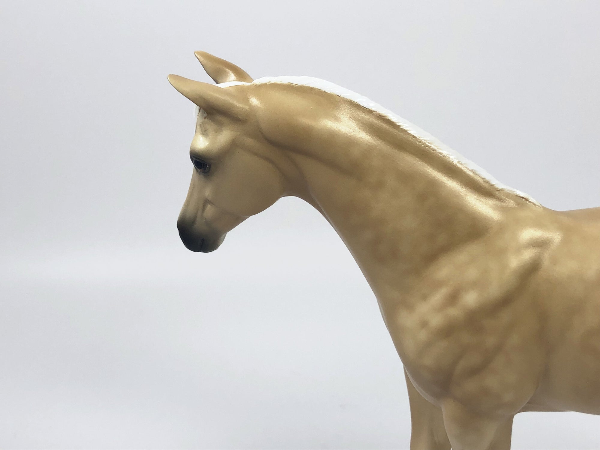 LEMON POPSICLE-OOAK PALOMINO WEANLING BY SHERYL LEISURE 4/25/19