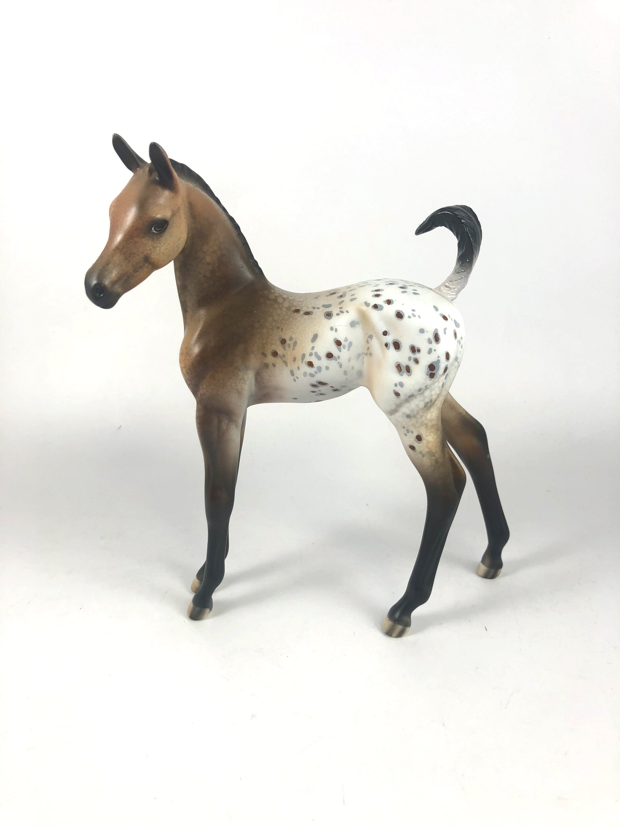 LETTIE-OOAK APPALOOSA FOAL MODEL HORSE MM 2019