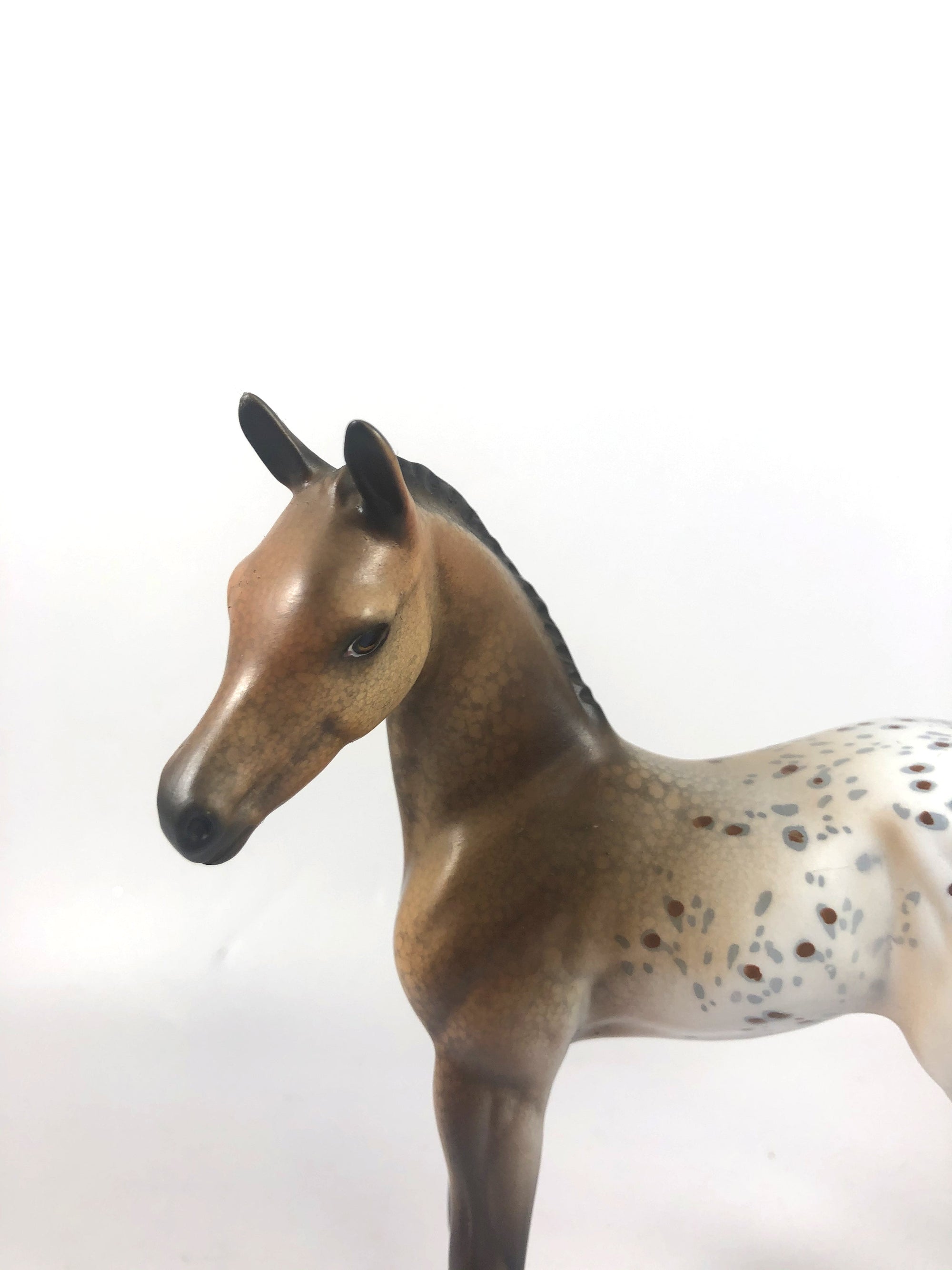 LETTIE-OOAK APPALOOSA FOAL MODEL HORSE MM 2019
