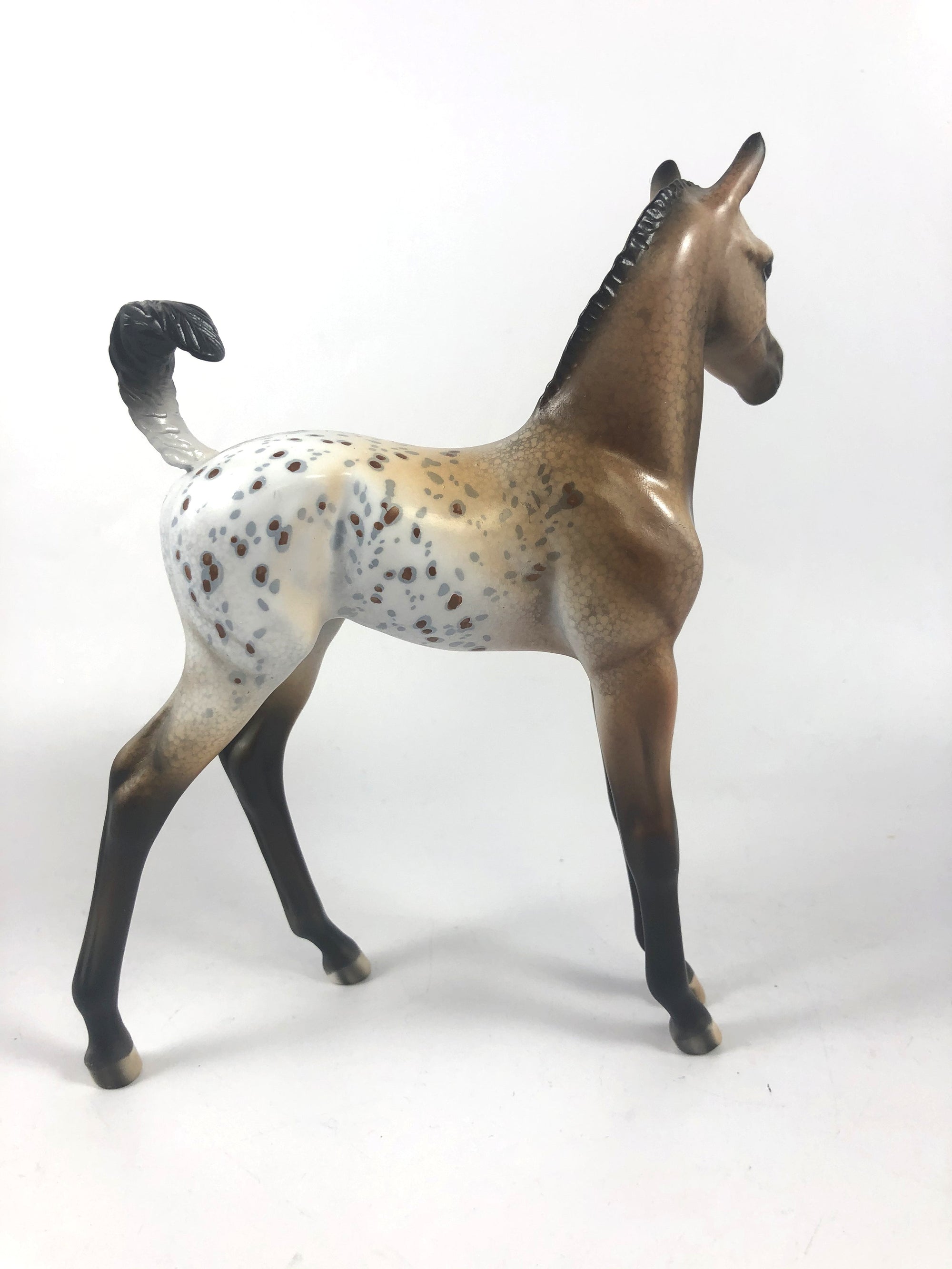 LETTIE-OOAK APPALOOSA FOAL MODEL HORSE MM 2019