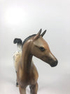 LETTIE-OOAK APPALOOSA FOAL MODEL HORSE MM 2019