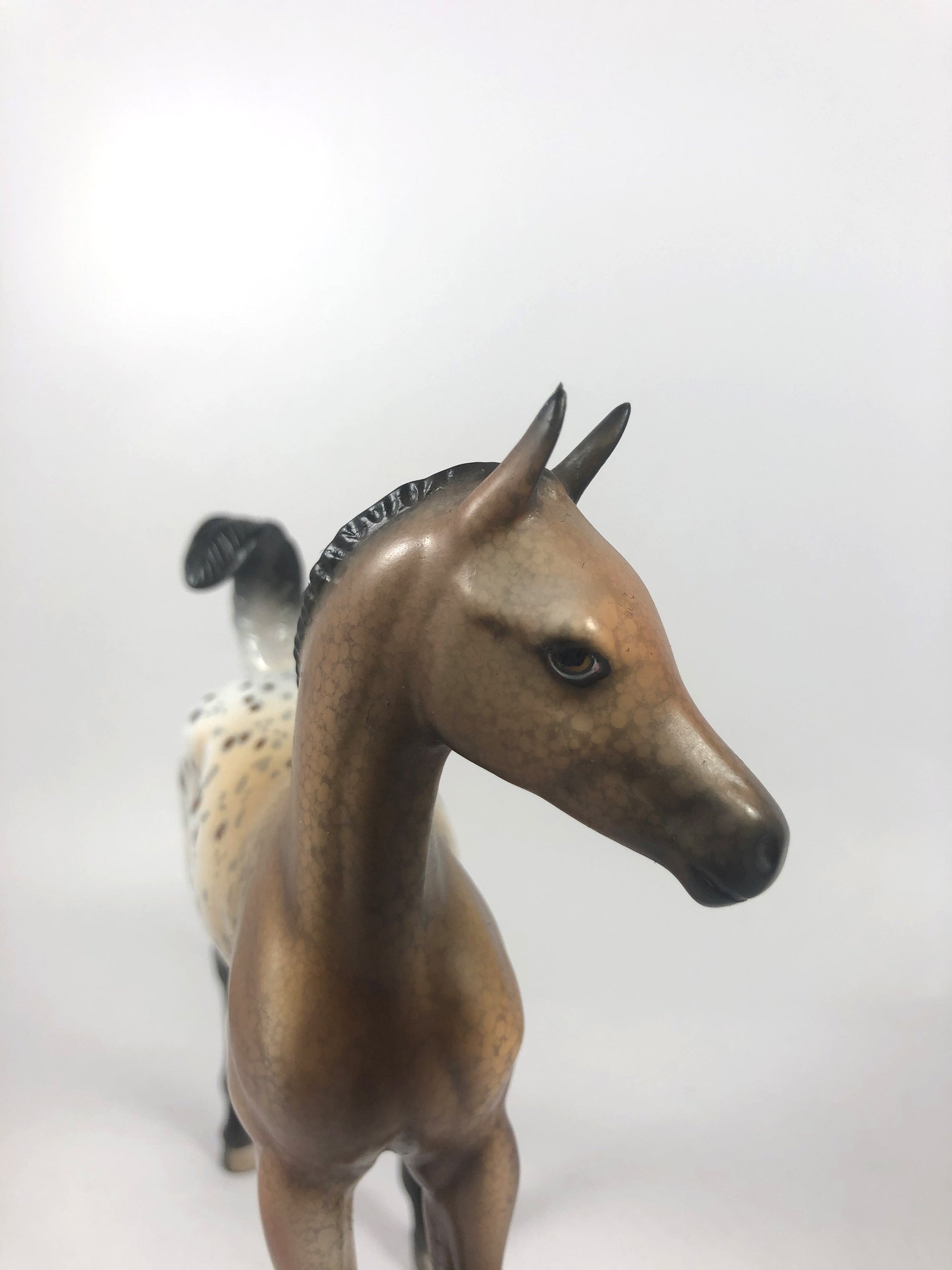 LETTIE-OOAK APPALOOSA FOAL MODEL HORSE MM 2019