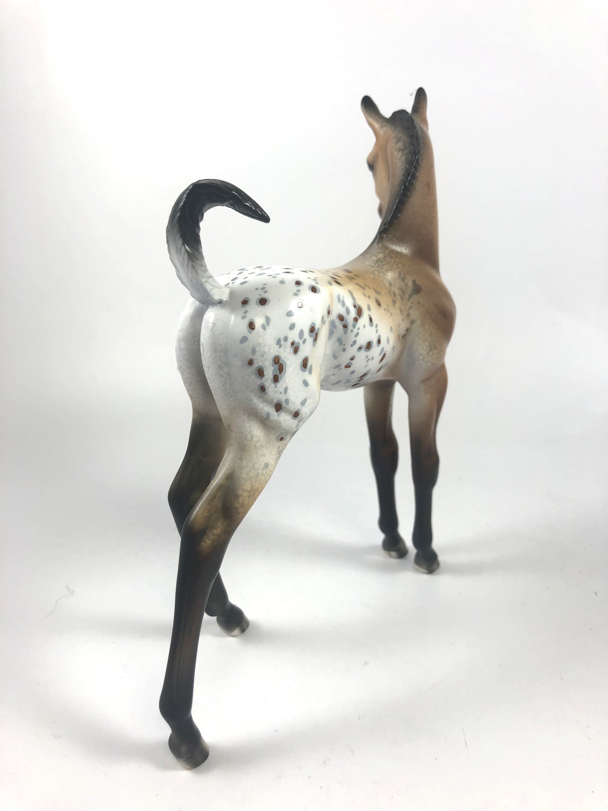 LETTIE-OOAK APPALOOSA FOAL MODEL HORSE MM 2019