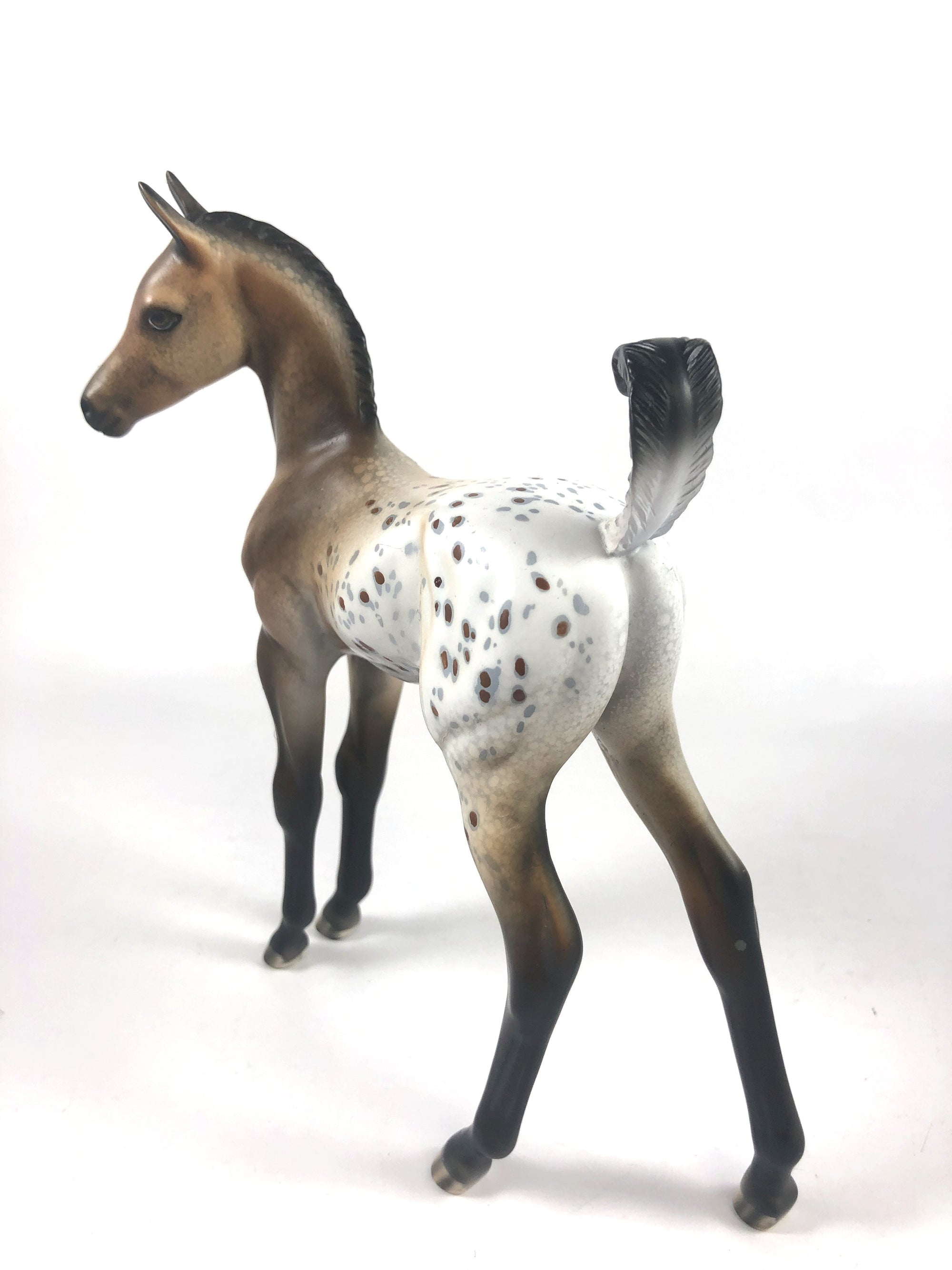 LETTIE-OOAK APPALOOSA FOAL MODEL HORSE MM 2019