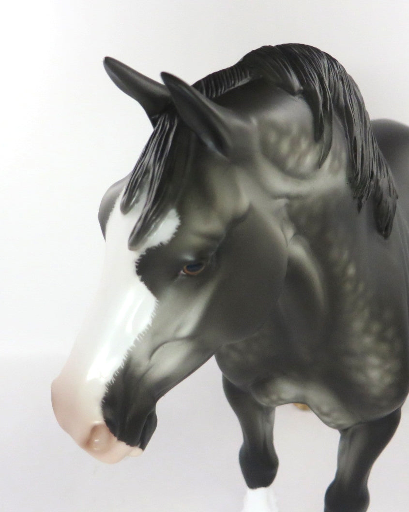 LILA  -OOAK DARK STAR DAPPLE GREY CM HEAVY DRAFT BY SHERYL LEISURE WHS19