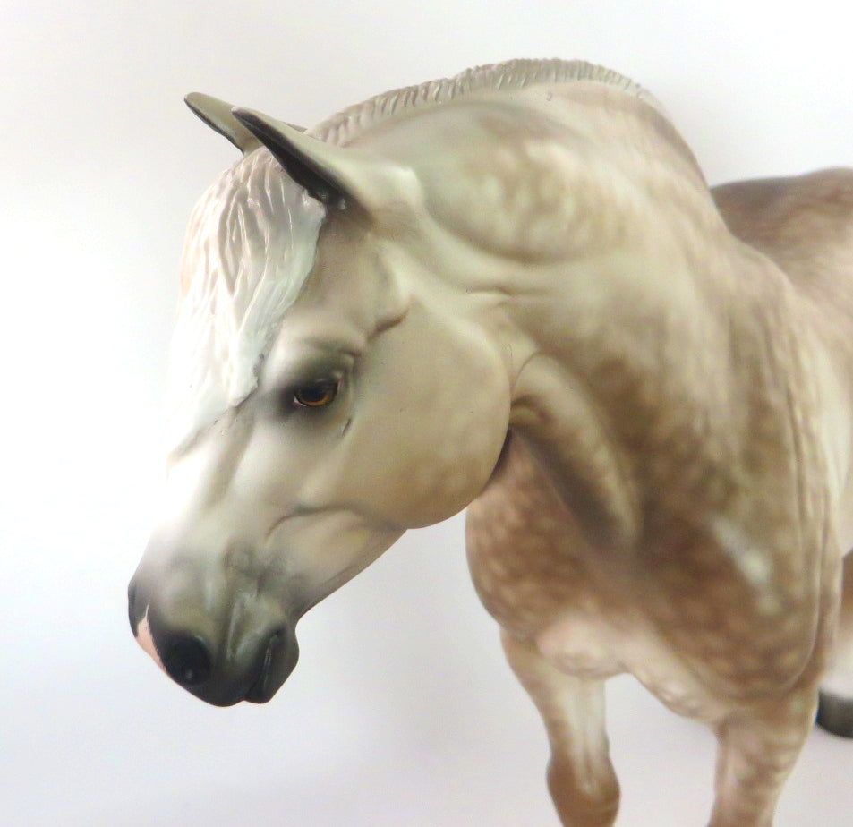 LINDA-OOAK STAR DAPPLE GREY HEAVY DRAFT MARE MODEL HORSE WHS 19