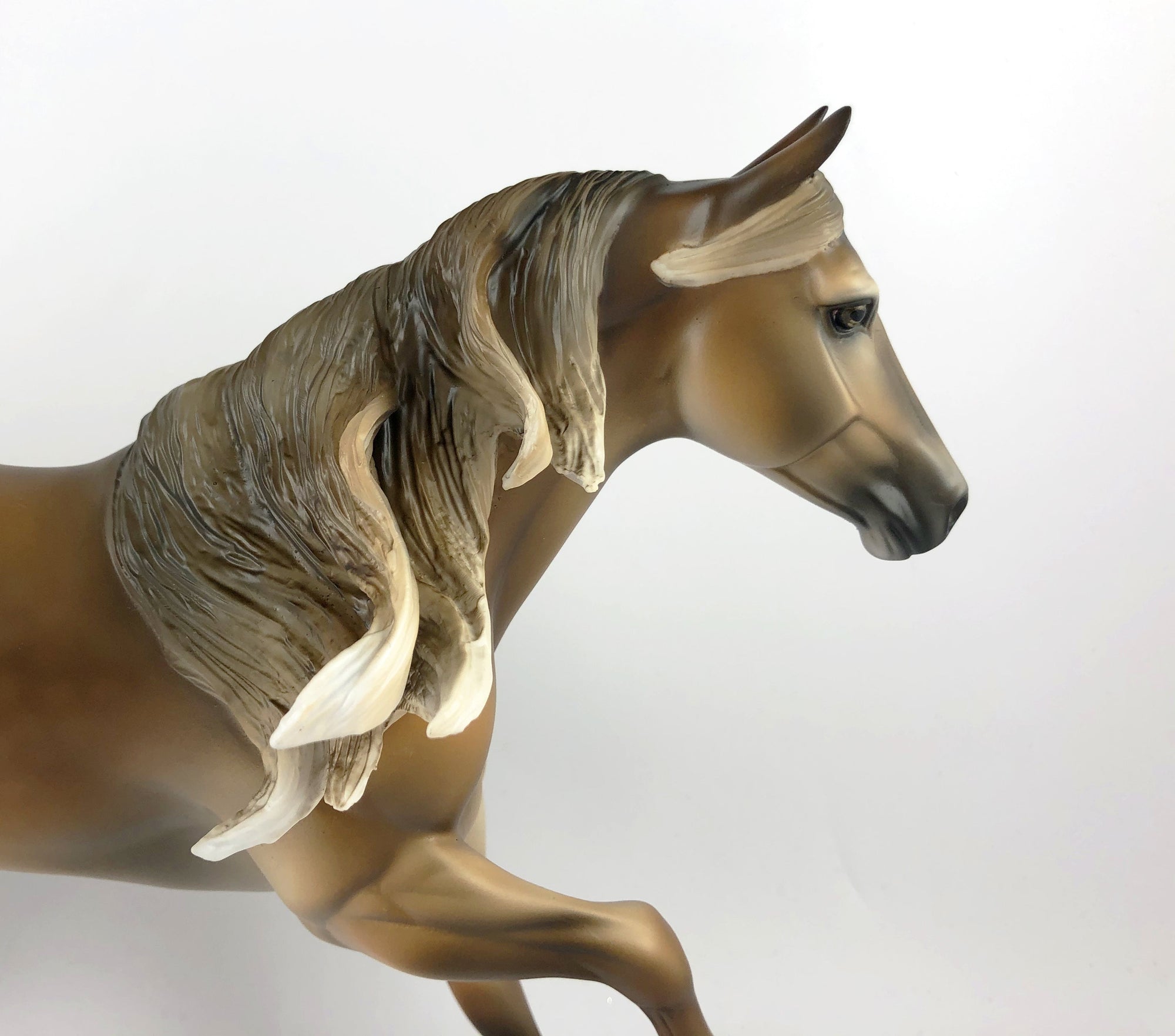 LION-LE-10 DAPPLE CHESTNUT RUNNING QUARTER HORSE LHS 2019