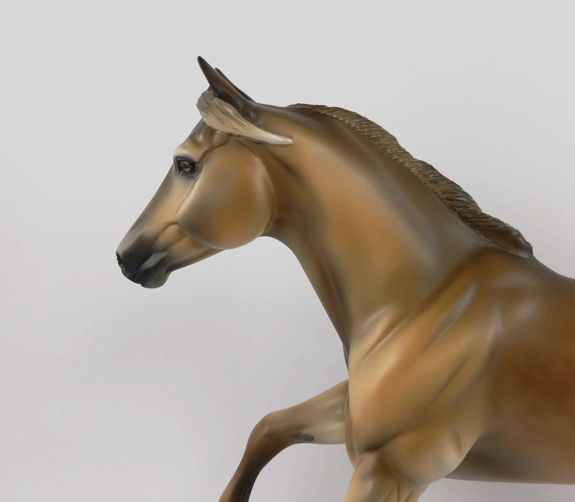 LION-LE-10 DAPPLE CHESTNUT RUNNING QUARTER HORSE LHS 2019