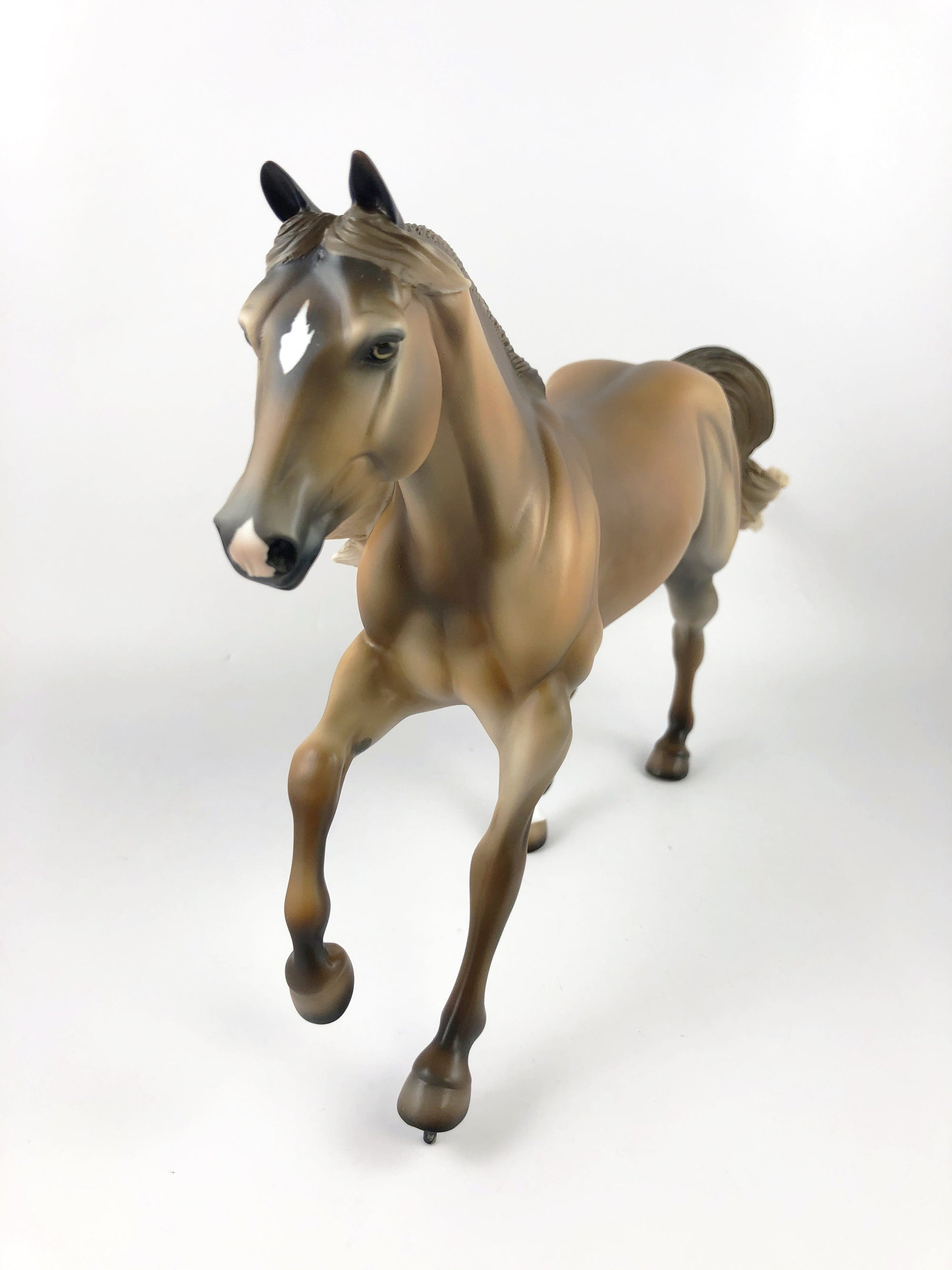 LION-LE-10 DAPPLE CHESTNUT RUNNING QUARTER HORSE LHS 2019