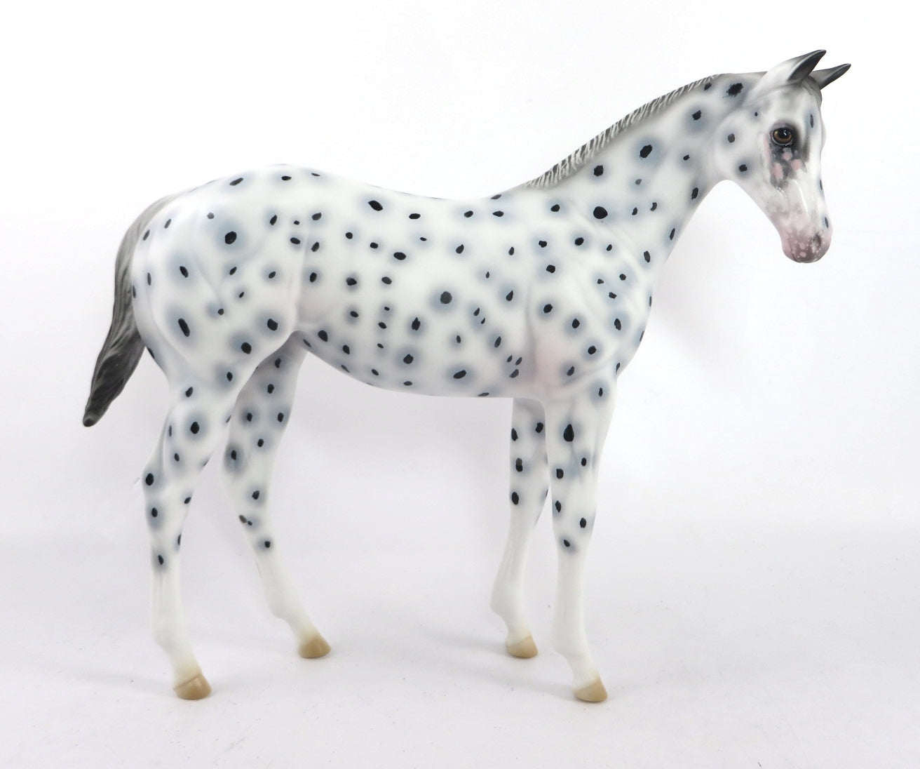 LITTLE GIANTS-OOAK LEOPARD APPALOOSA WEANLING MODEL HORSE BY AL KATT SB20