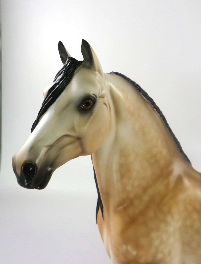 LOONIE - OOAK STAR DAPPLE ROSE GREY MORGAN WITH CUSTOM MANE AND TAIL SHERYL LESIURE 02/24/20