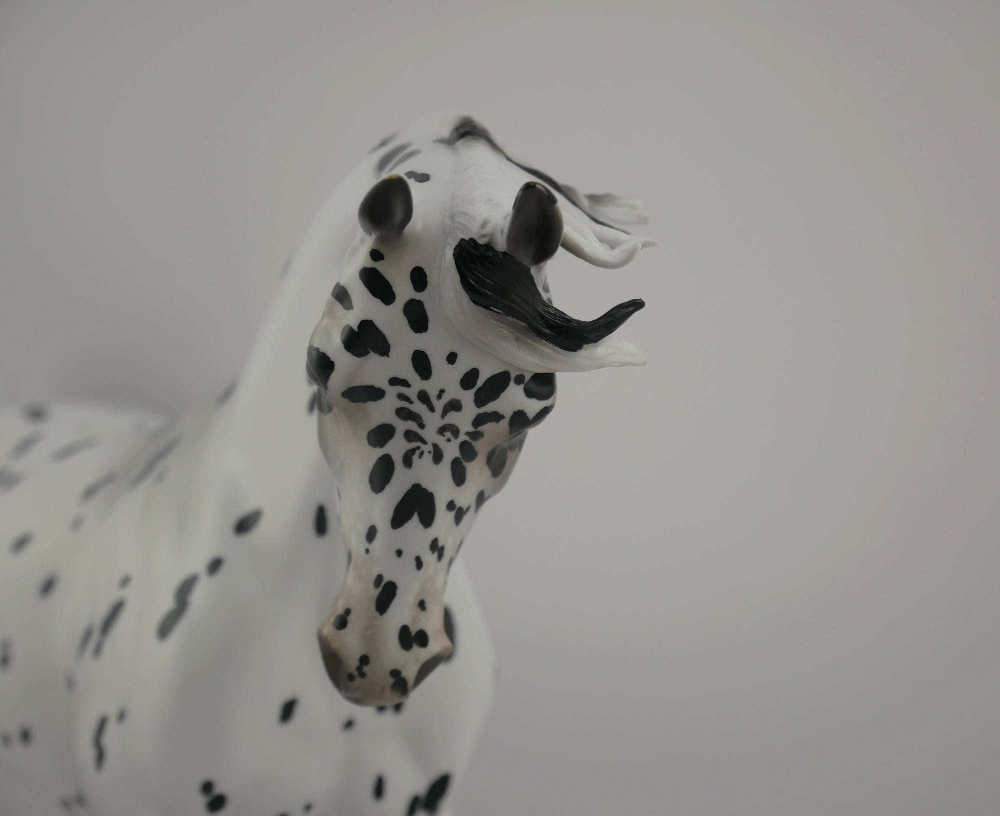 Love Spots-LE-34 Appaloosa Thoroughbred Art of the Horse Finalist Ericka Miller EQ 2020