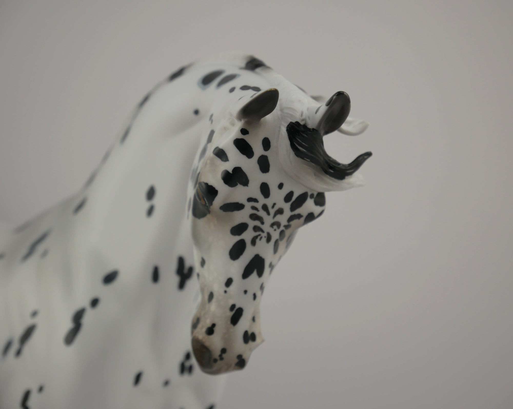 Love Spots-LE-34 Appaloosa Thoroughbred Art of the Horse Finalist Ericka Miller EQ 2020