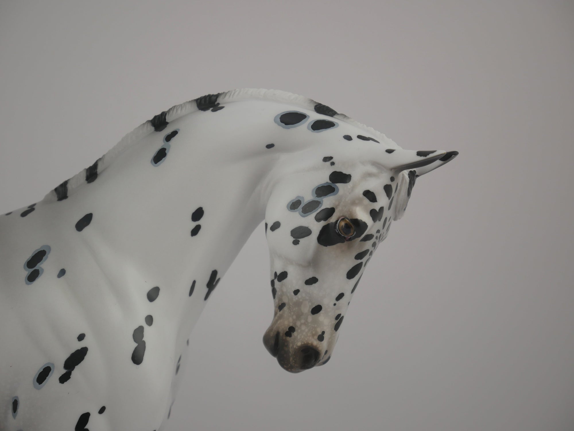 Love Spots-LE-34 Appaloosa Thoroughbred Art of the Horse Finalist Ericka Miller EQ 2020