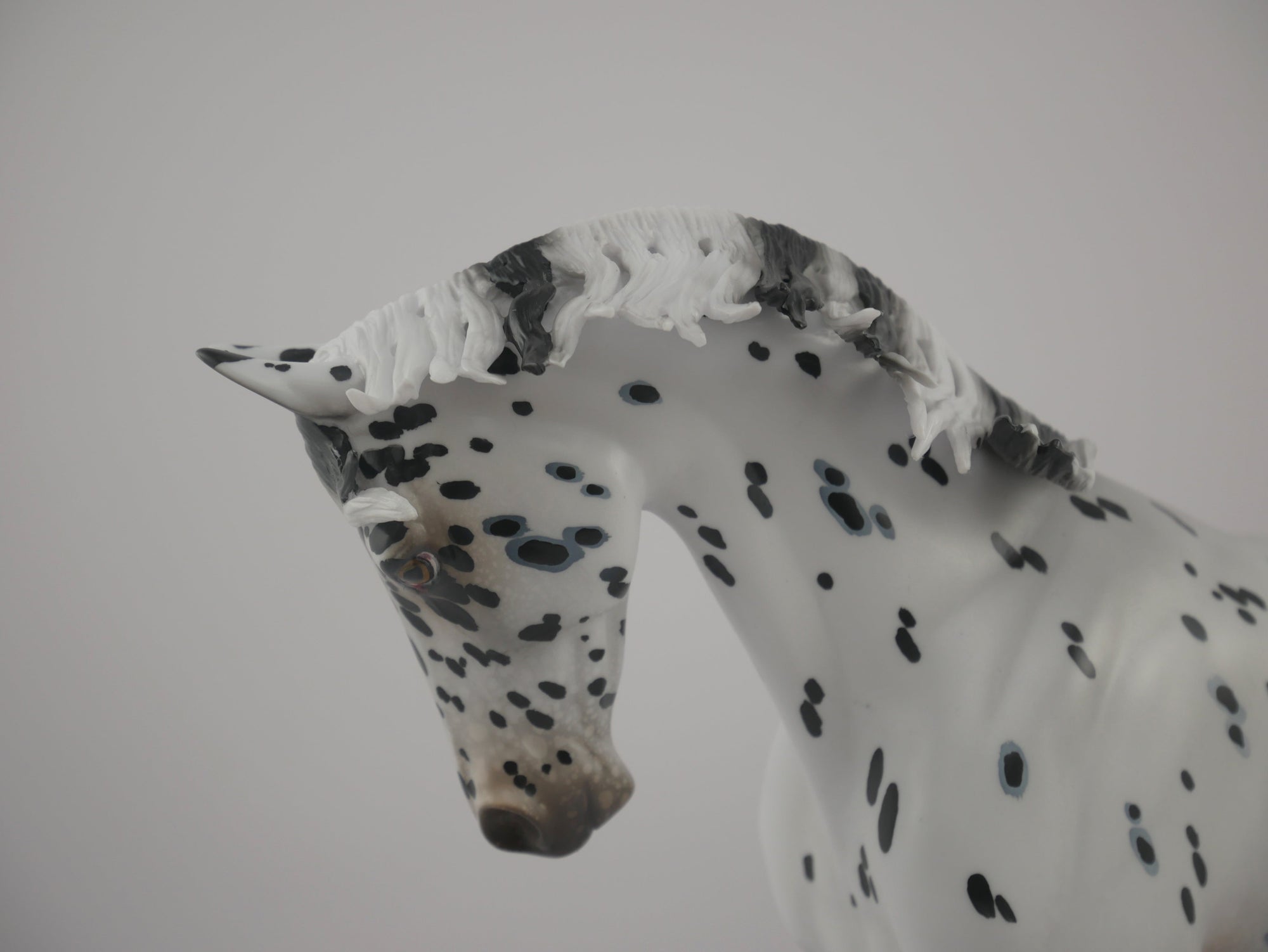 Love Spots-LE-34 Appaloosa Thoroughbred Art of the Horse Finalist Ericka Miller EQ 2020