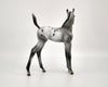 Luna Appaloosa Foal By Julie Keim MM 2020