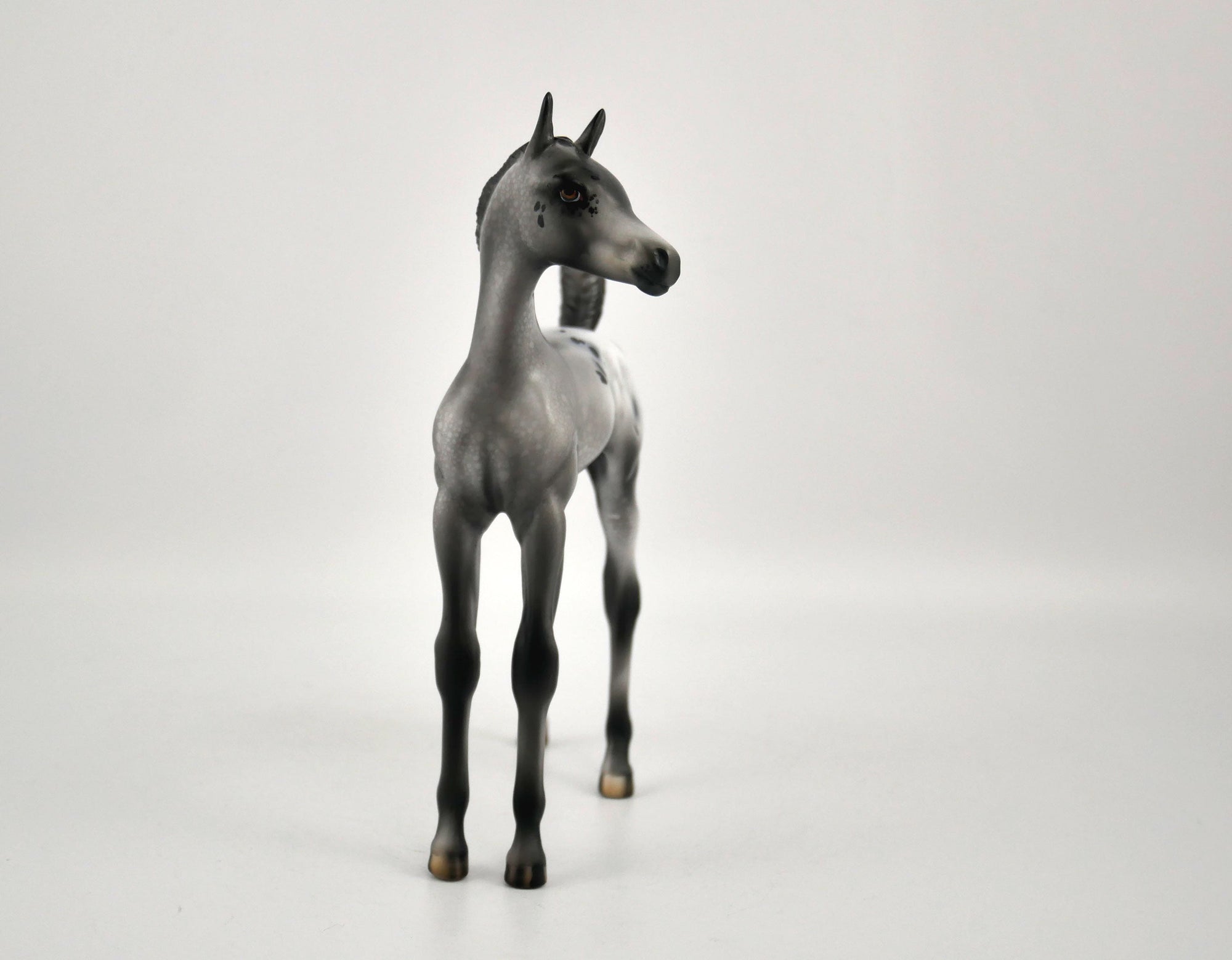 Luna Appaloosa Foal By Julie Keim MM 2020