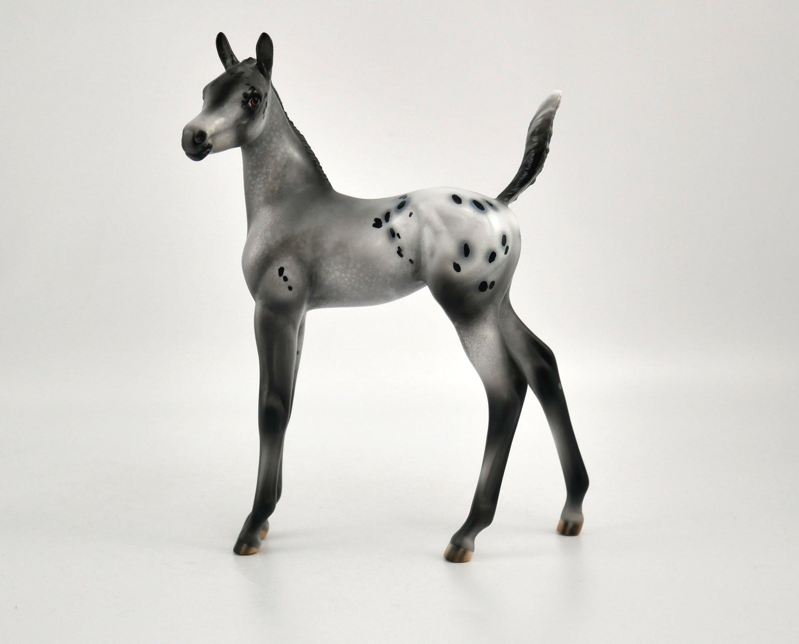 Luna Appaloosa Foal By Julie Keim MM 2020