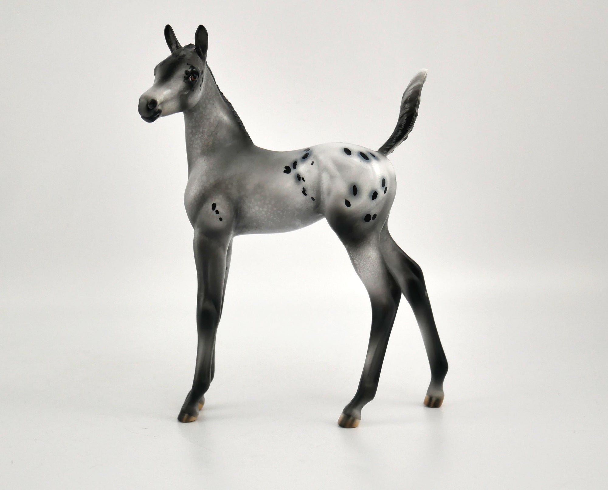 Luna Appaloosa Foal By Julie Keim MM 2020