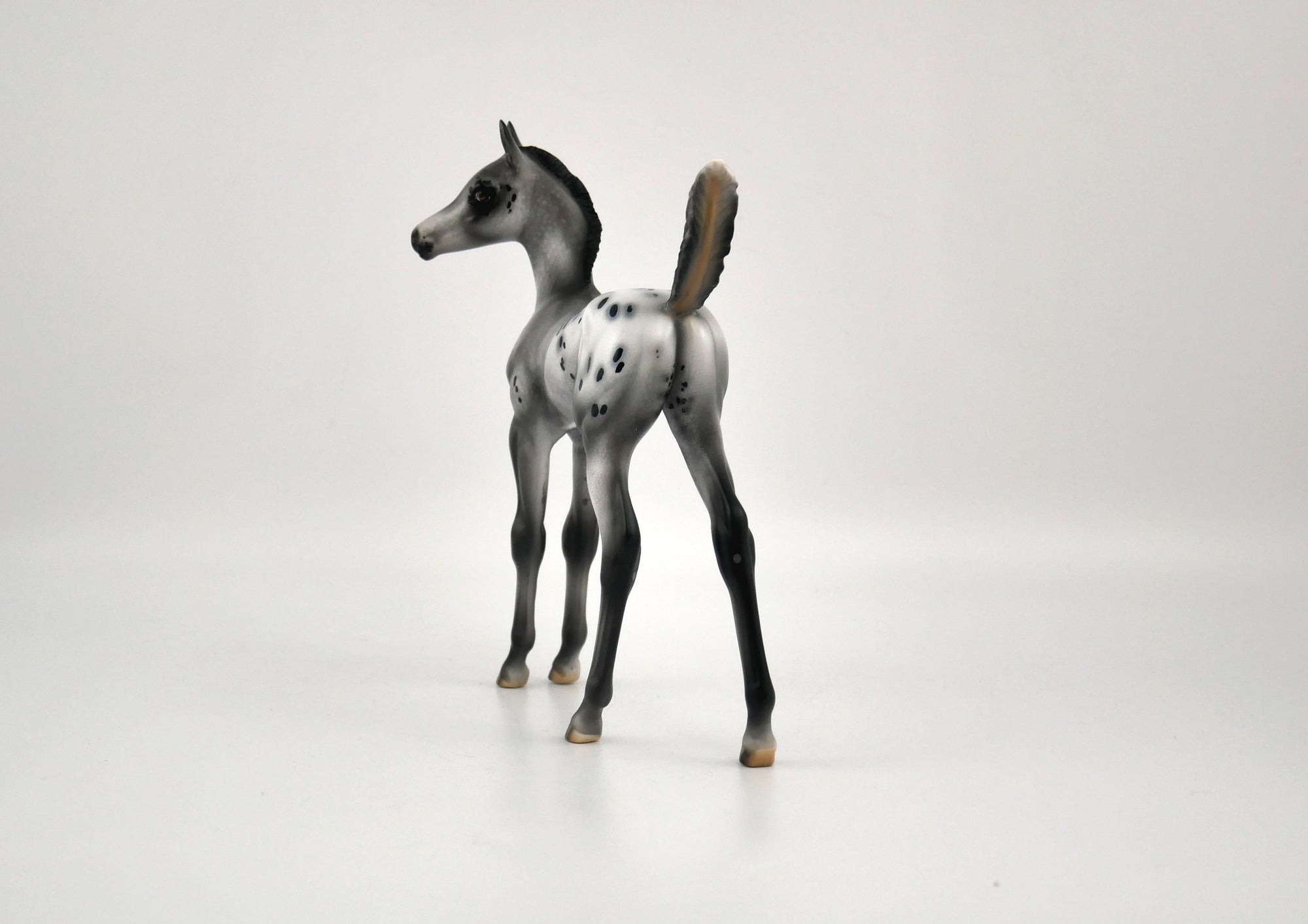 Luna Appaloosa Foal By Julie Keim MM 2020