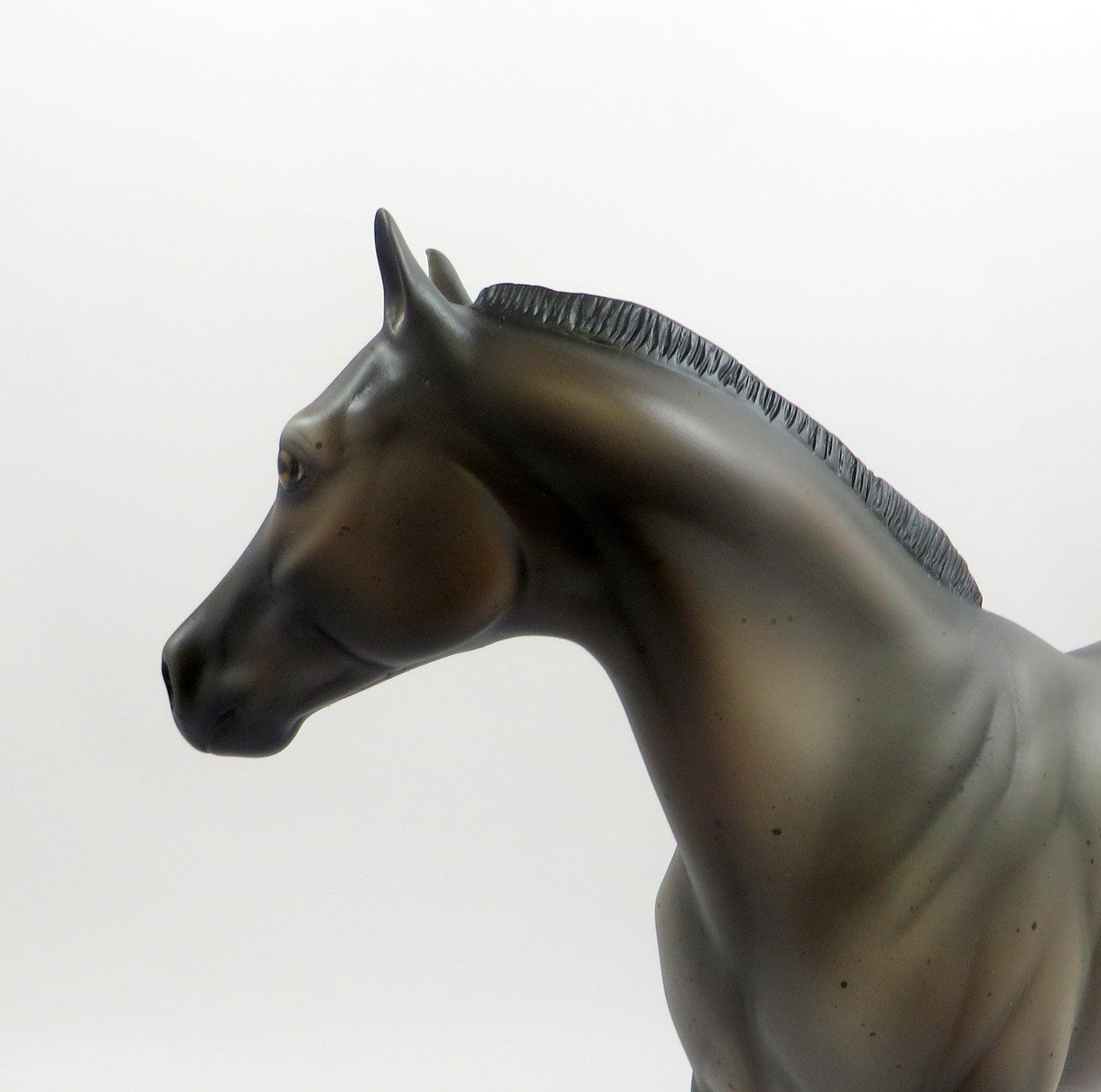 LUPIN-OOAK BAY ROAN ISH MODEL HORSE BY AMANDA EQ 19