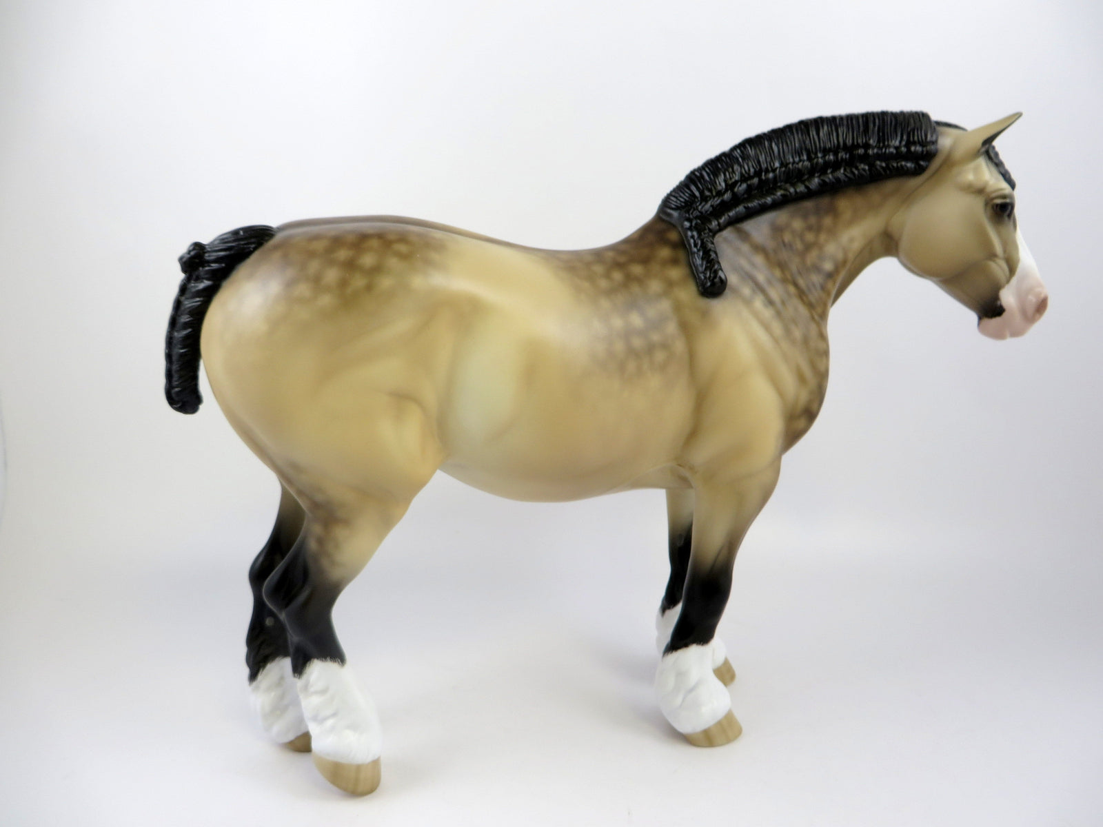 LAPUTA-OOAK DAPPLE BUCKSKIN HEAVY DRAFT MARE EQ 2019