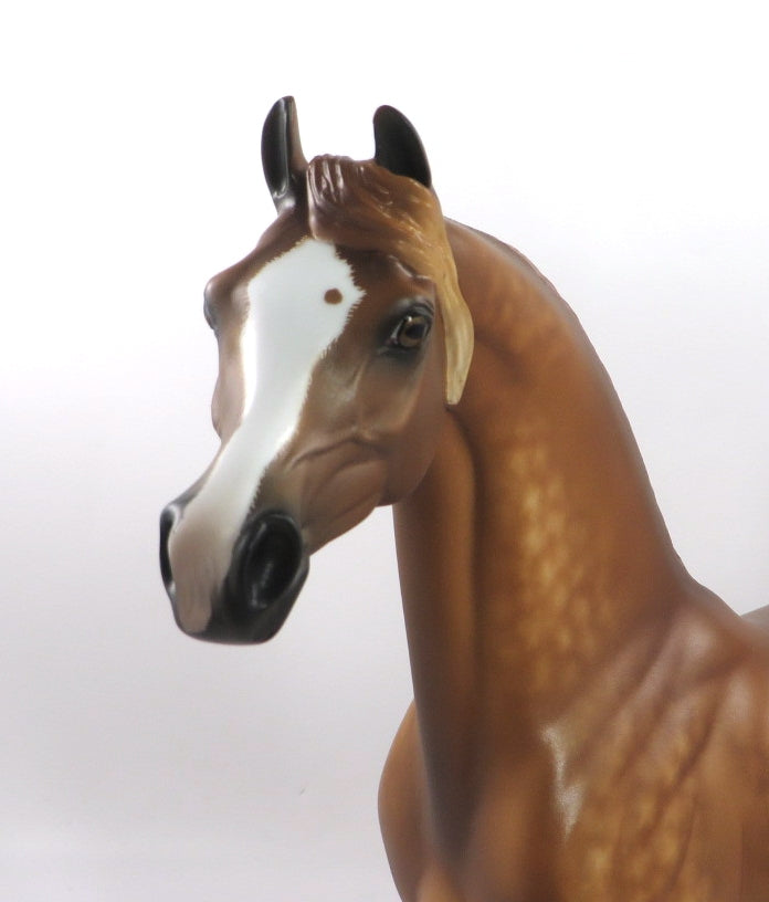 LUSCIOUS-OOAK STAR DAPPLE CHESTNUT ARABIAN BY SHERYL LEISURE 12/27/19