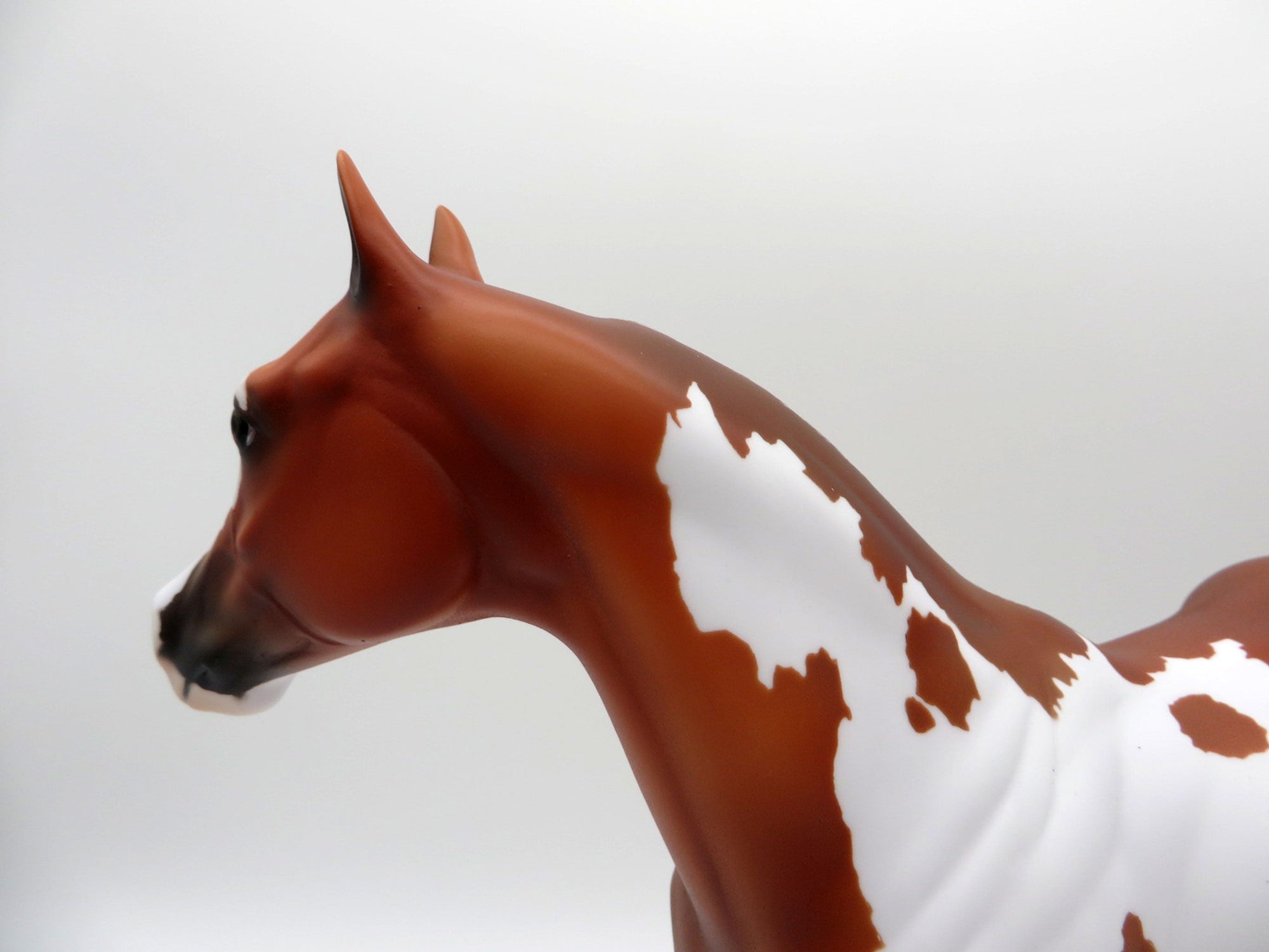 Lyra-OOAK Paint ISH SHCF 2021