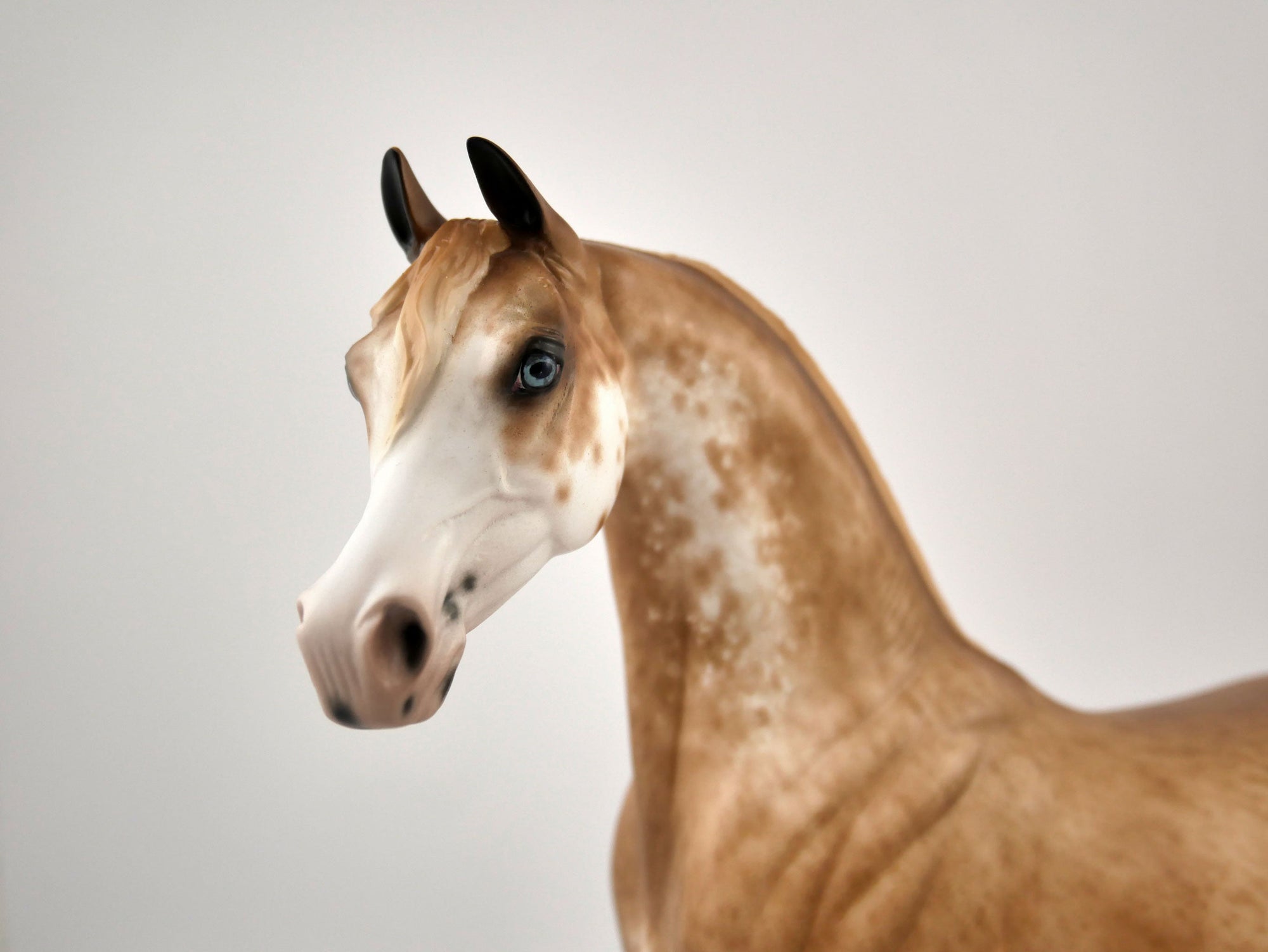 LYSANDER-OOAK CHESTNUT BRINDLE BY SHERYL LEISURE MM20