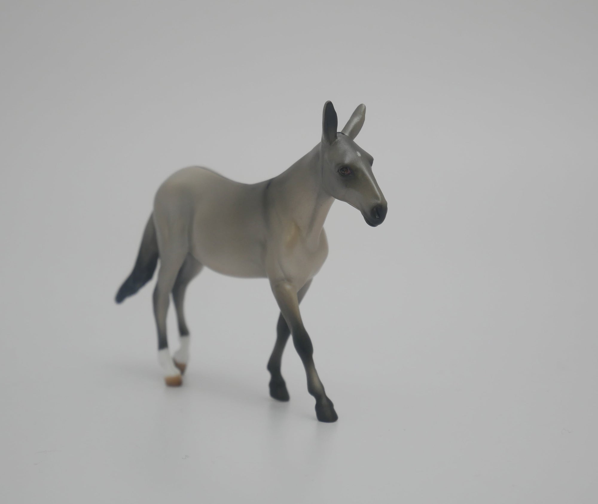 MABELLE-LE-15 THE WONDER MULE CHIP 3/24/20